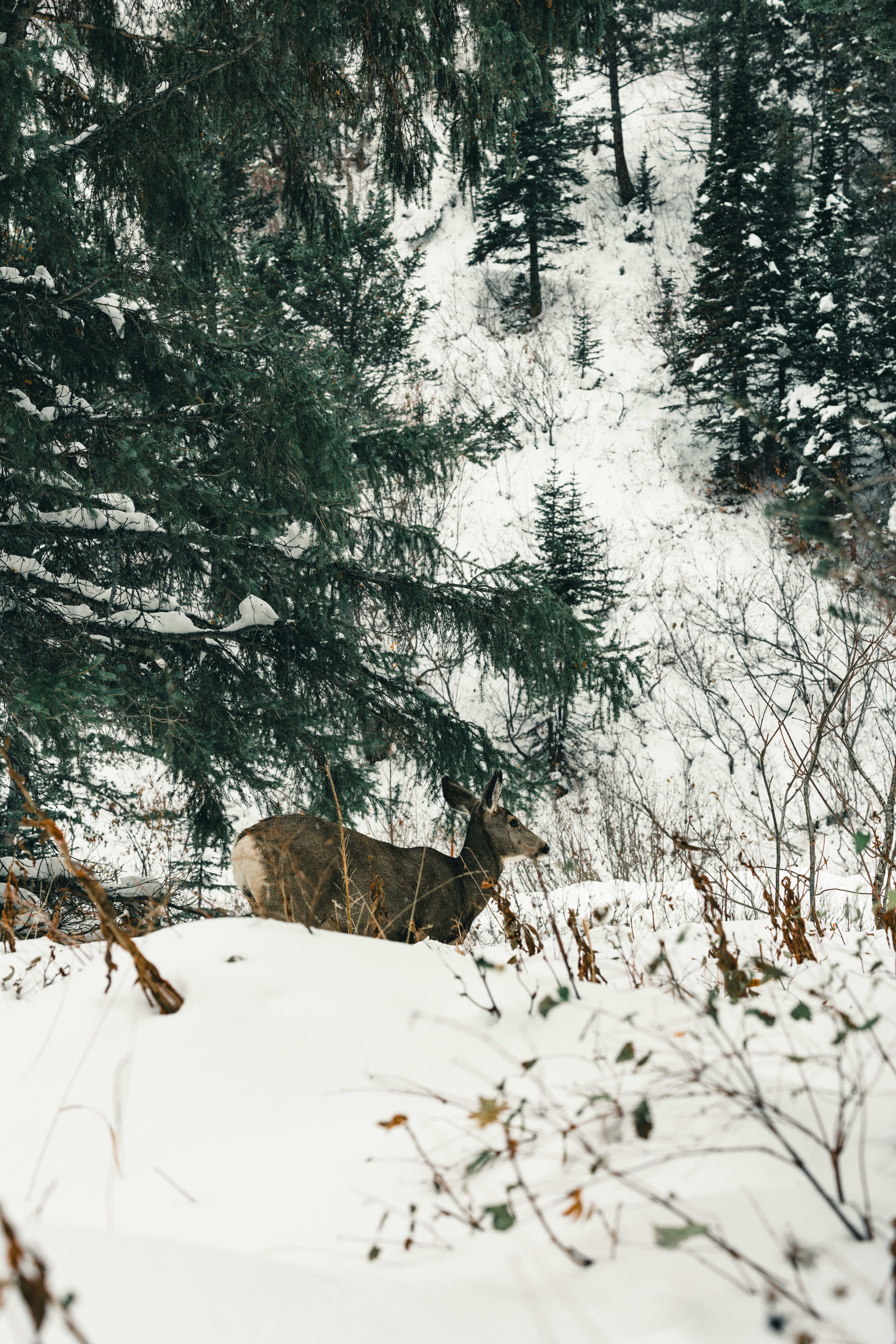 Photo by lureofadventure