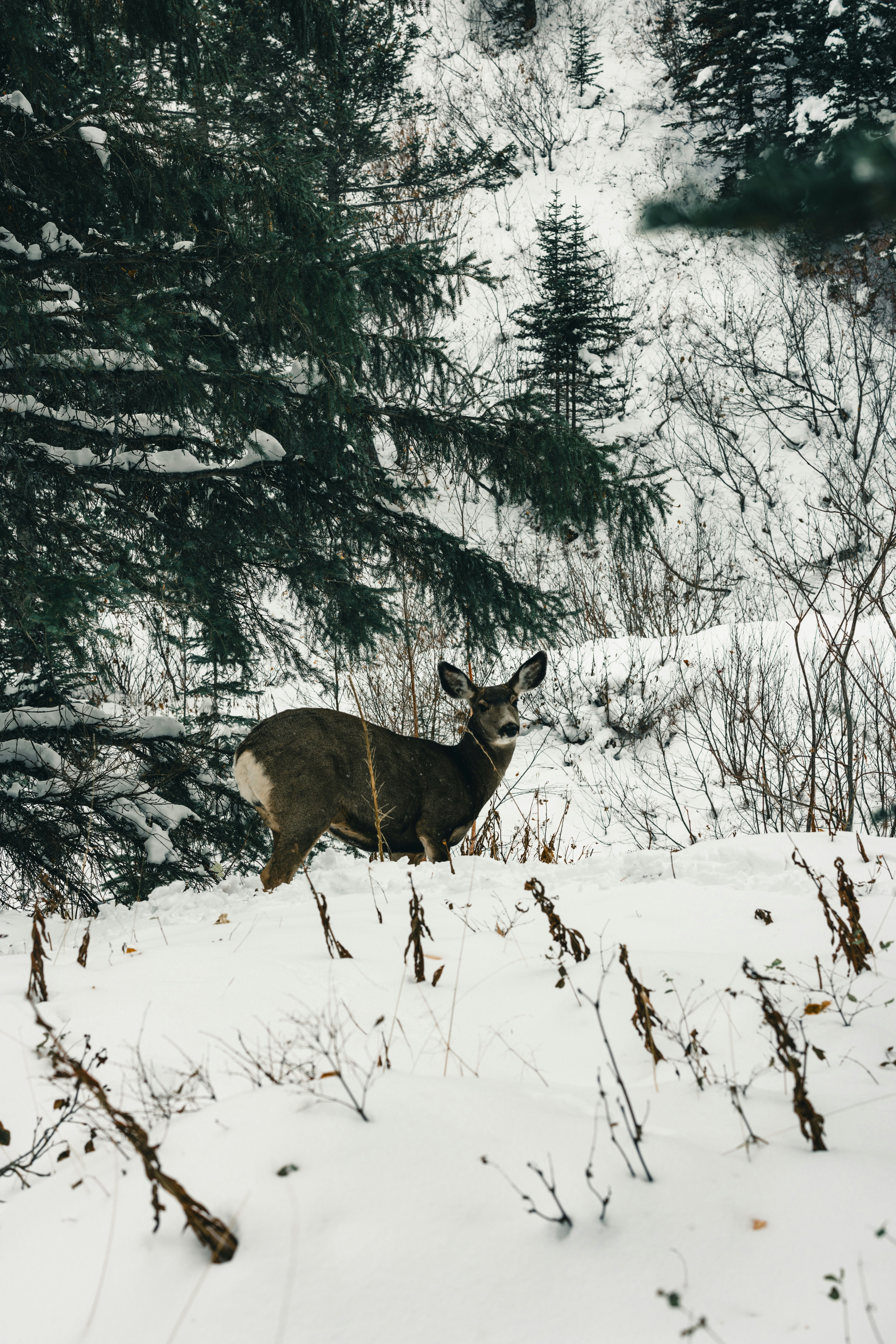 Photo by lureofadventure