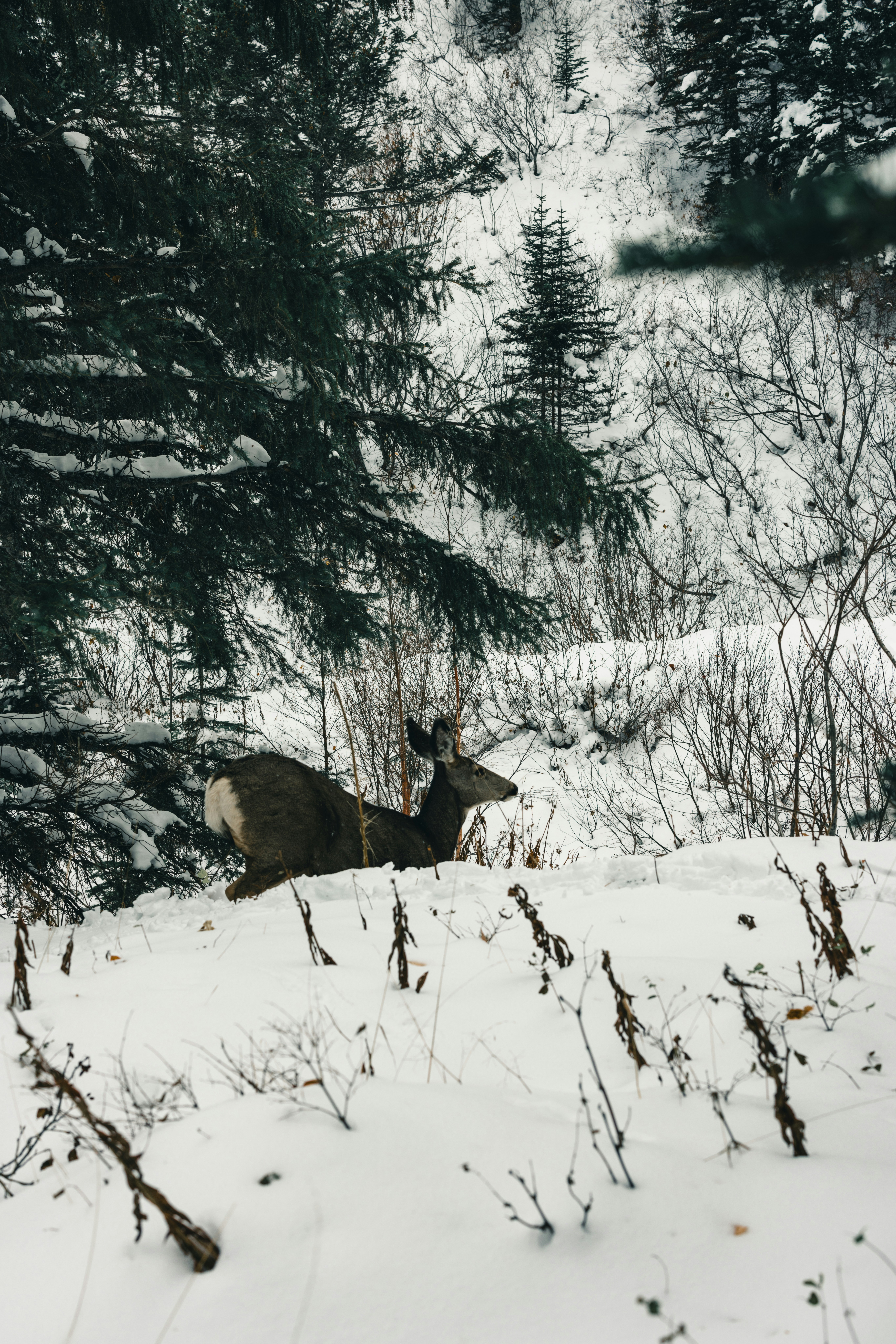 Photo by lureofadventure