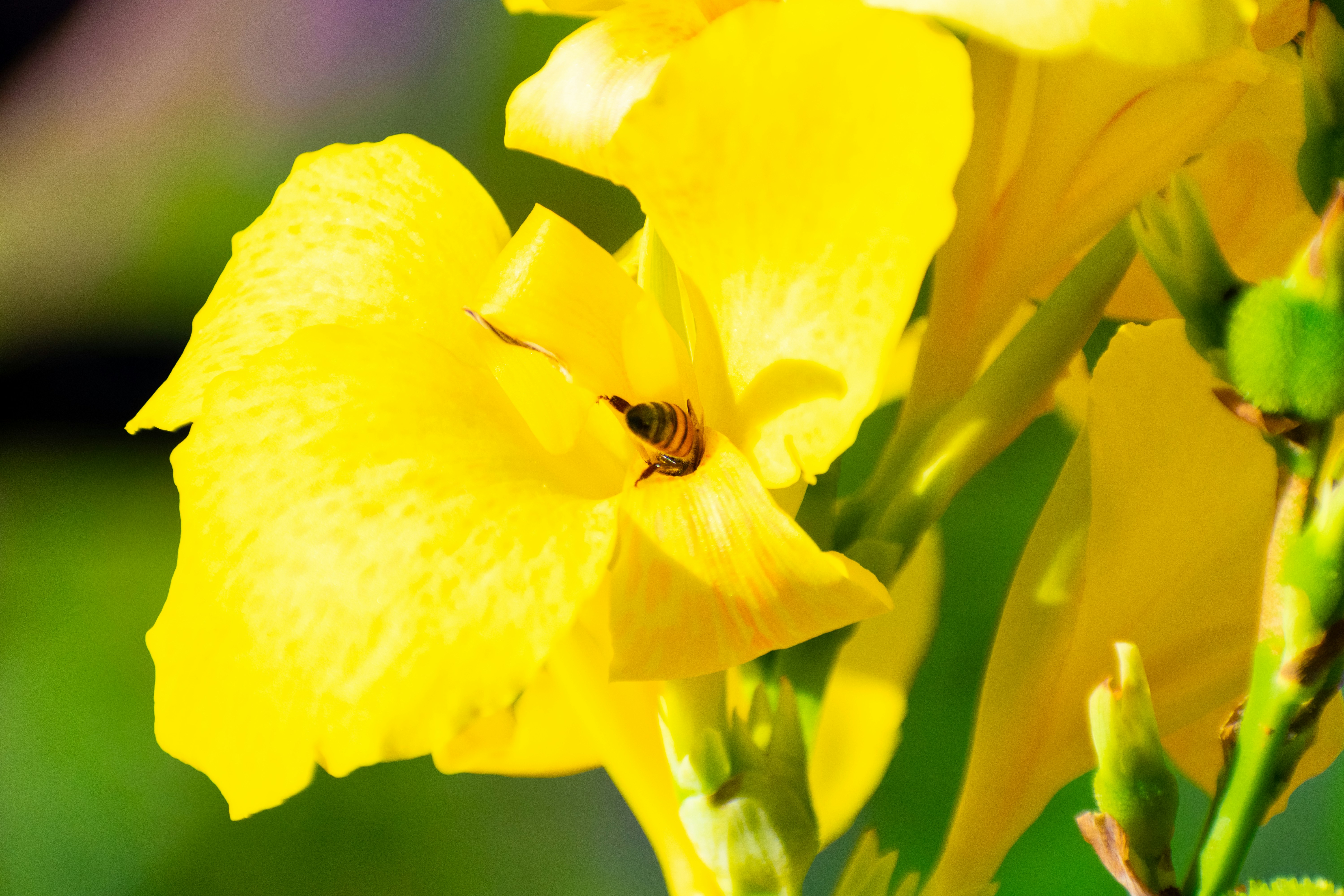 Photo by probablyrobin