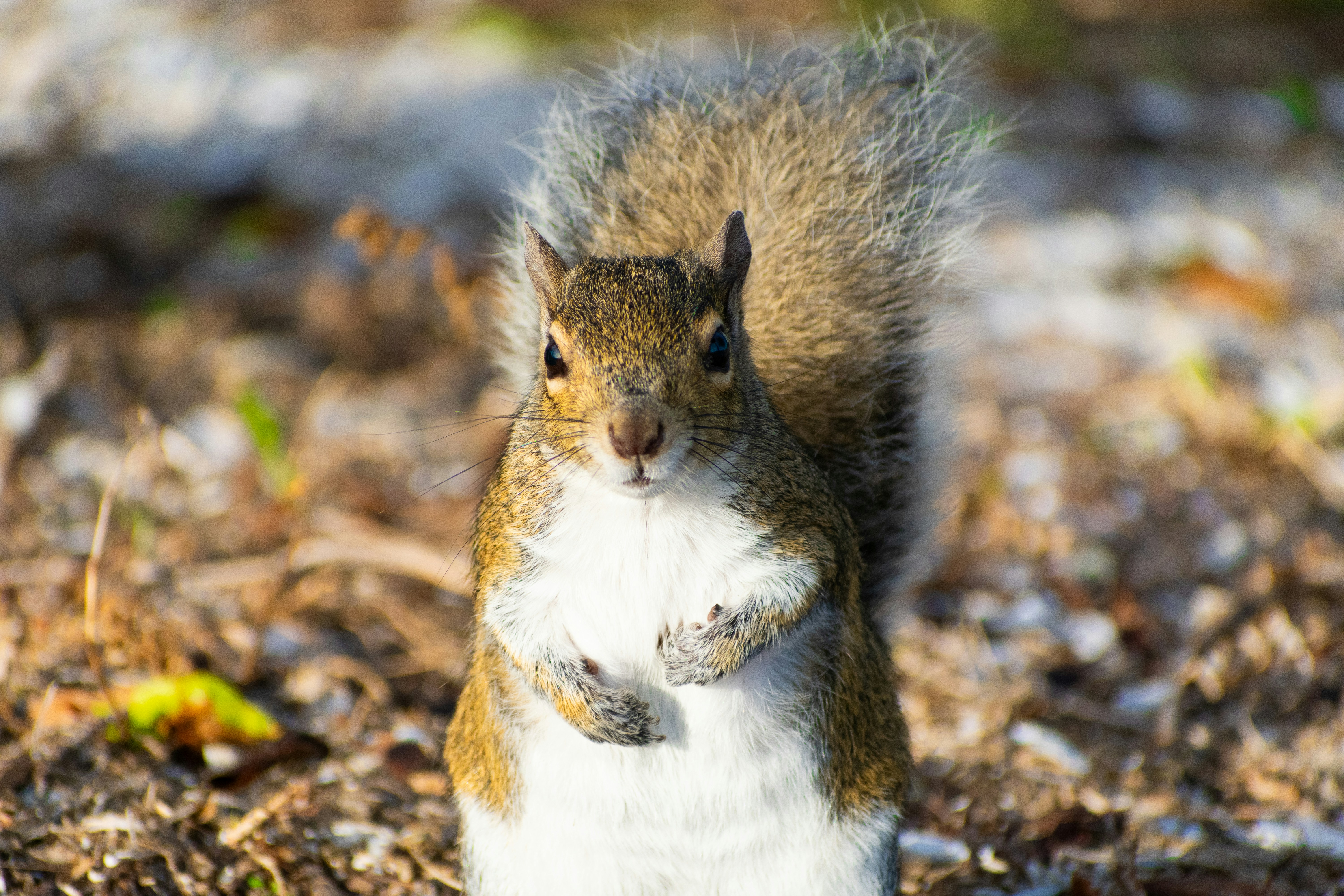 Photo by probablyrobin