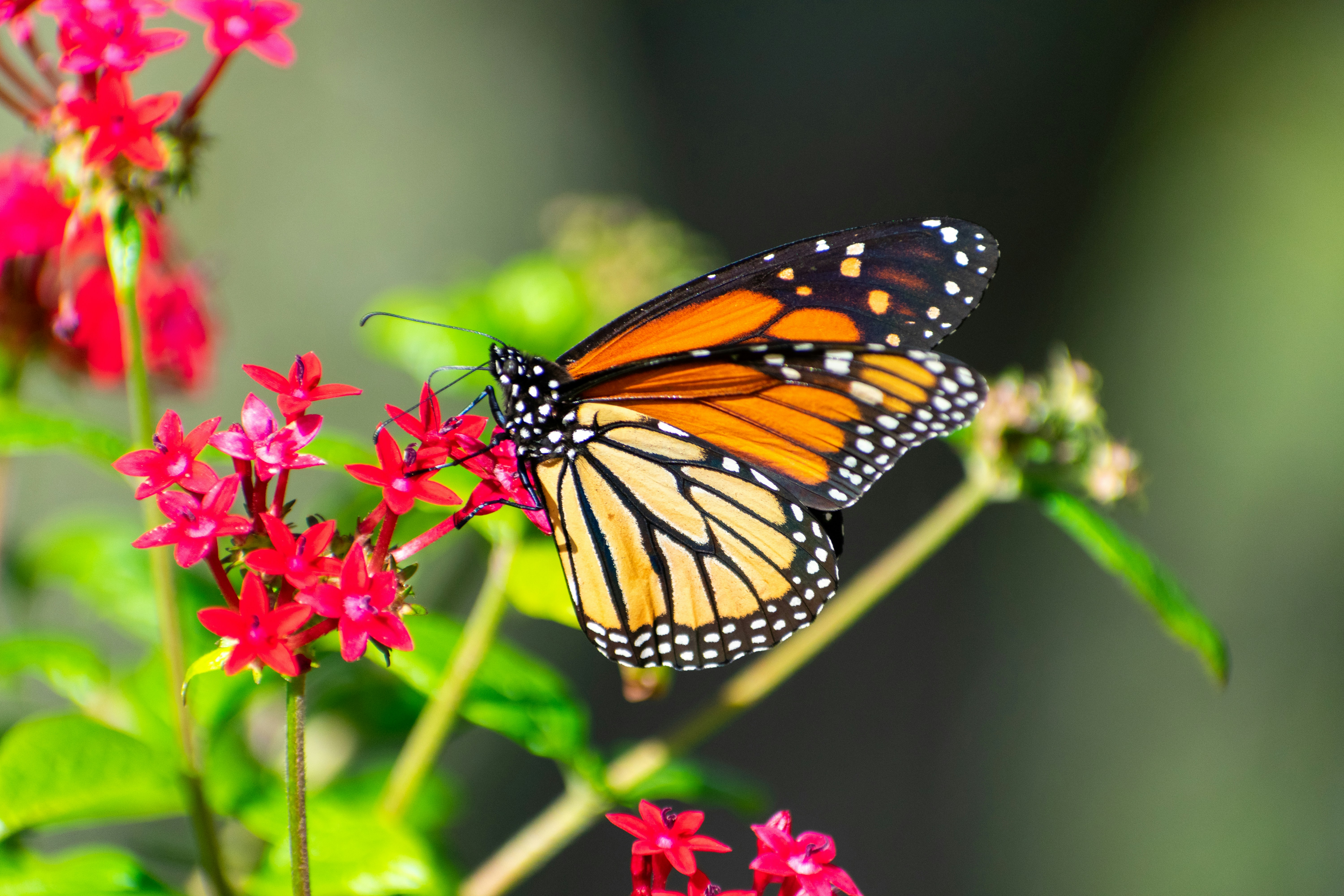 Photo by probablyrobin