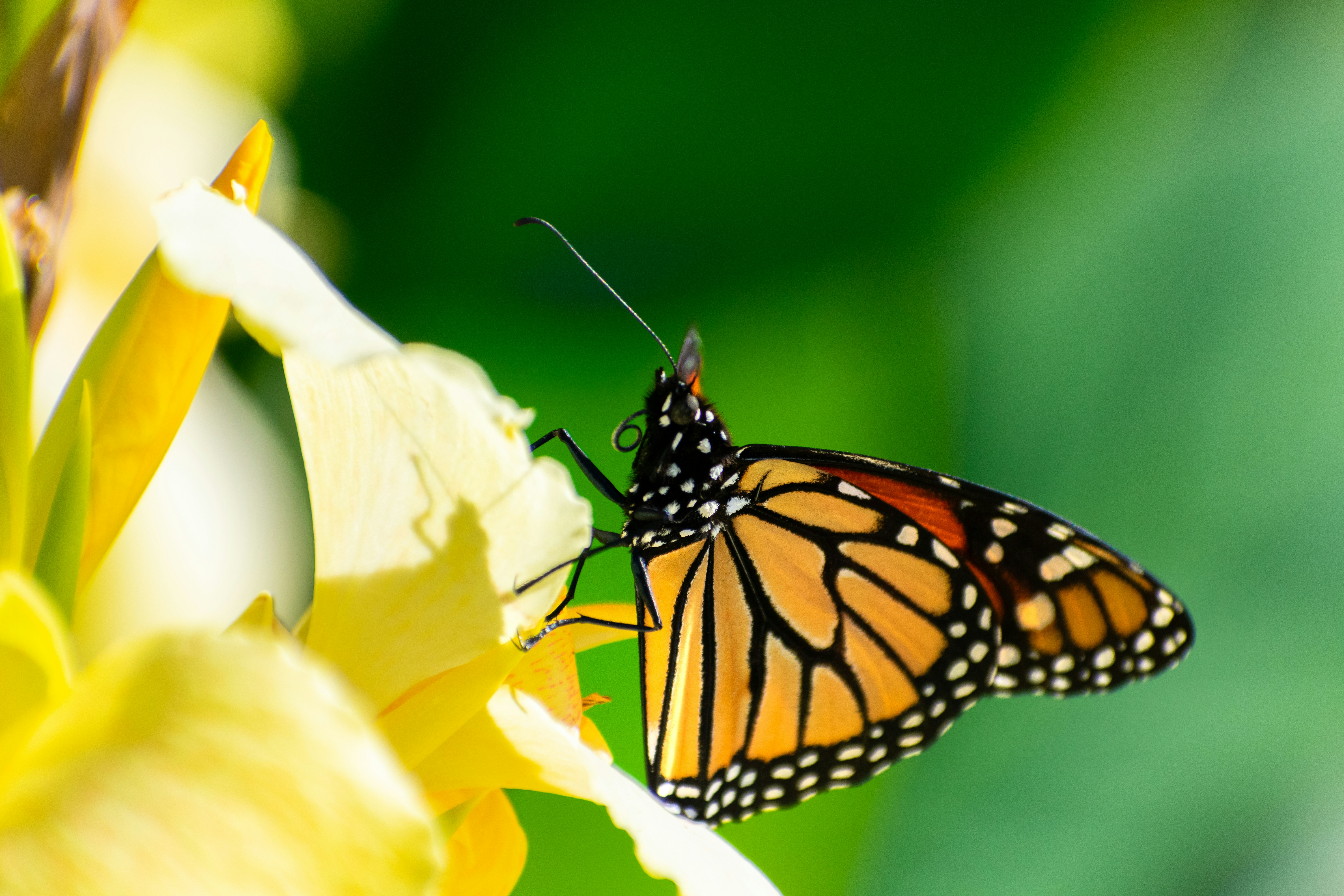 Photo by probablyrobin