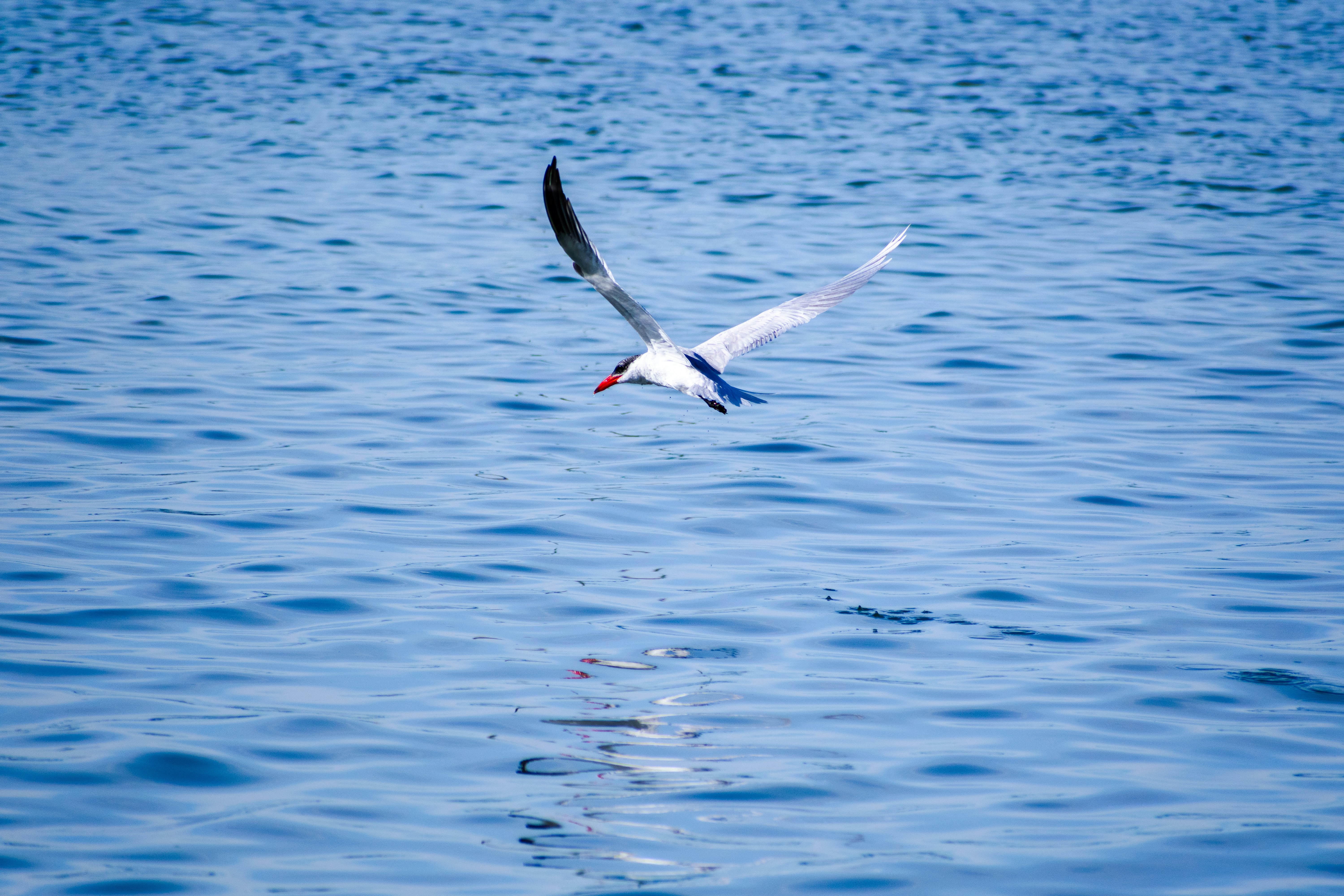 Photo by probablyrobin