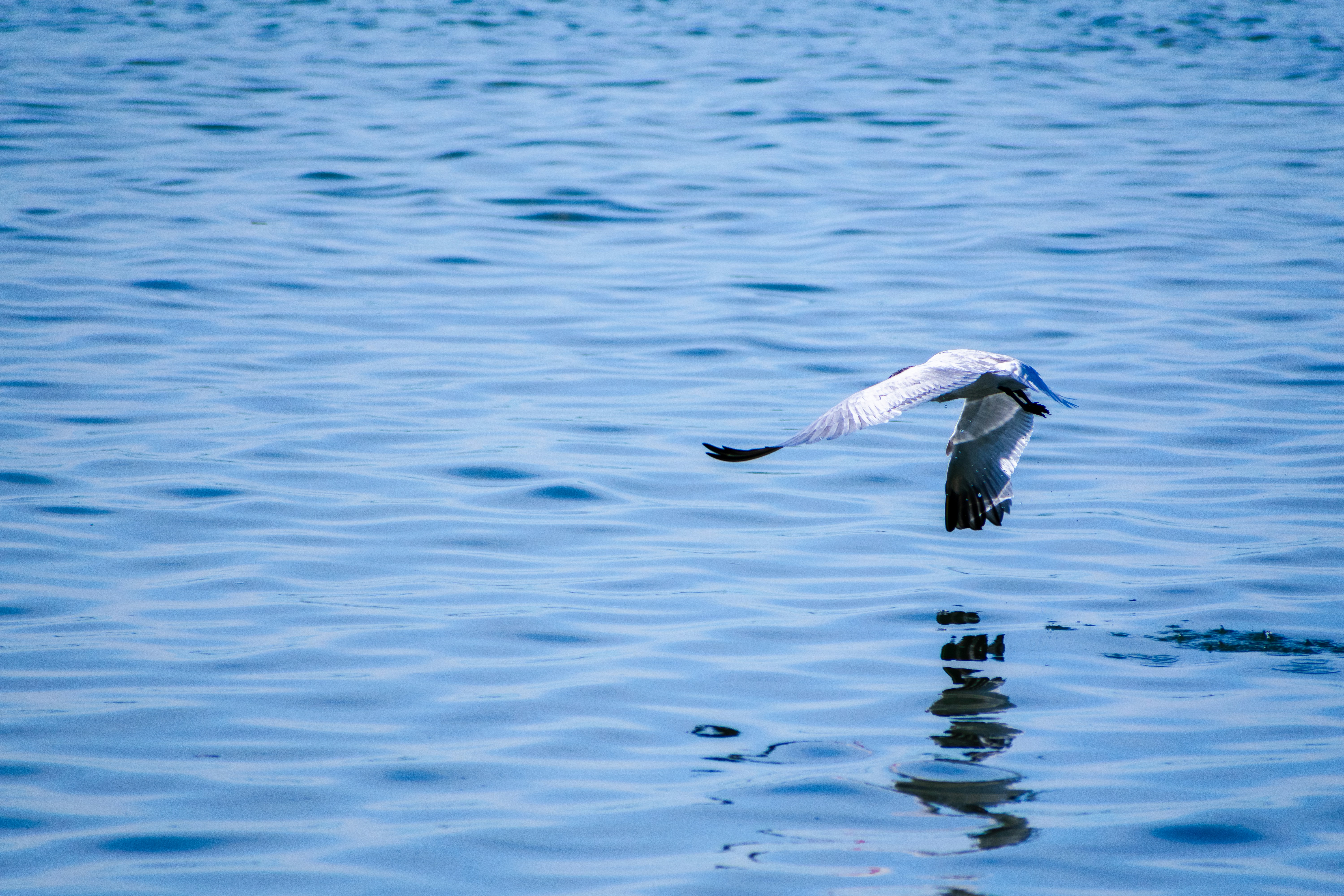 Photo by probablyrobin