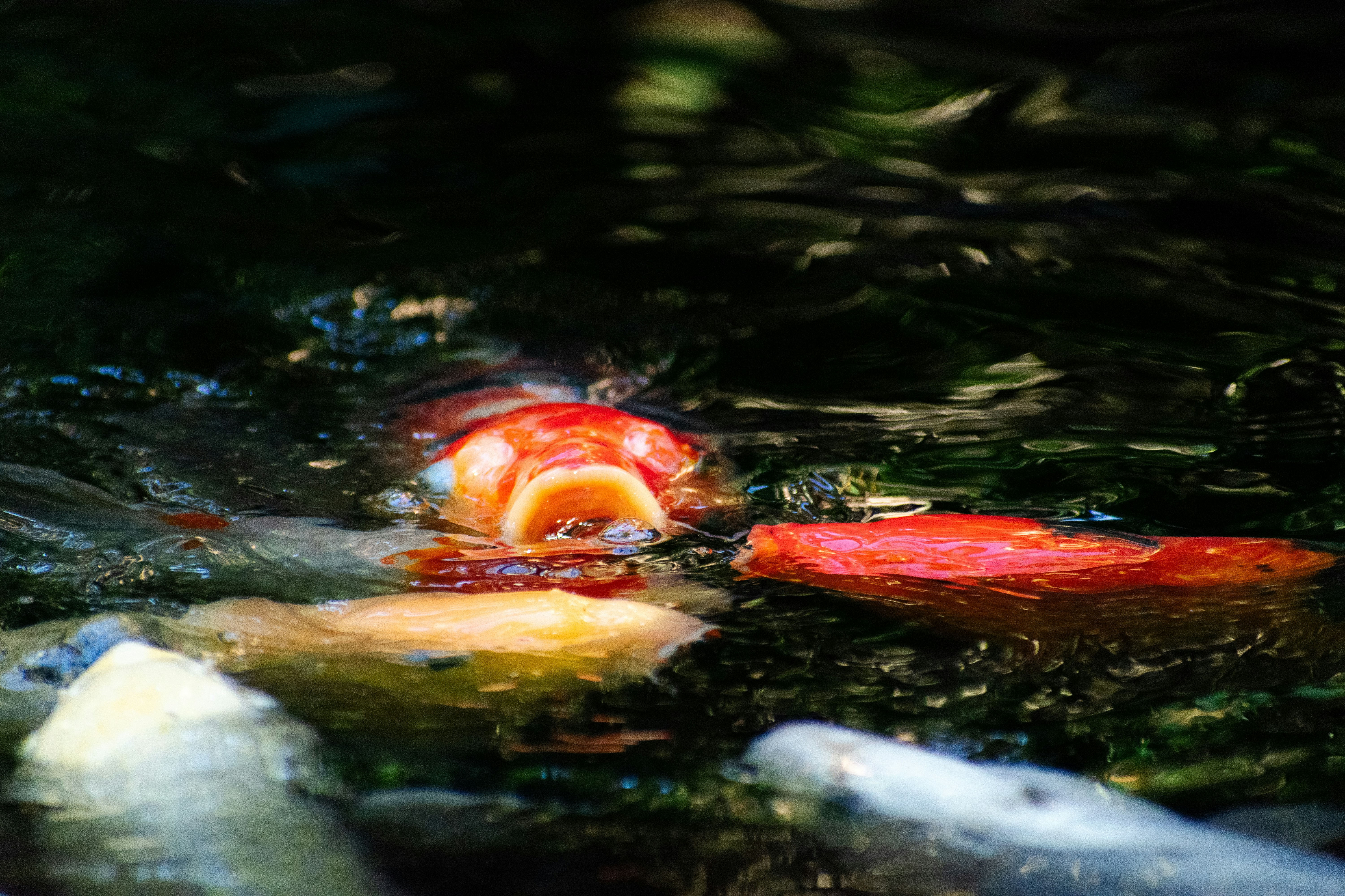 Photo by probablyrobin