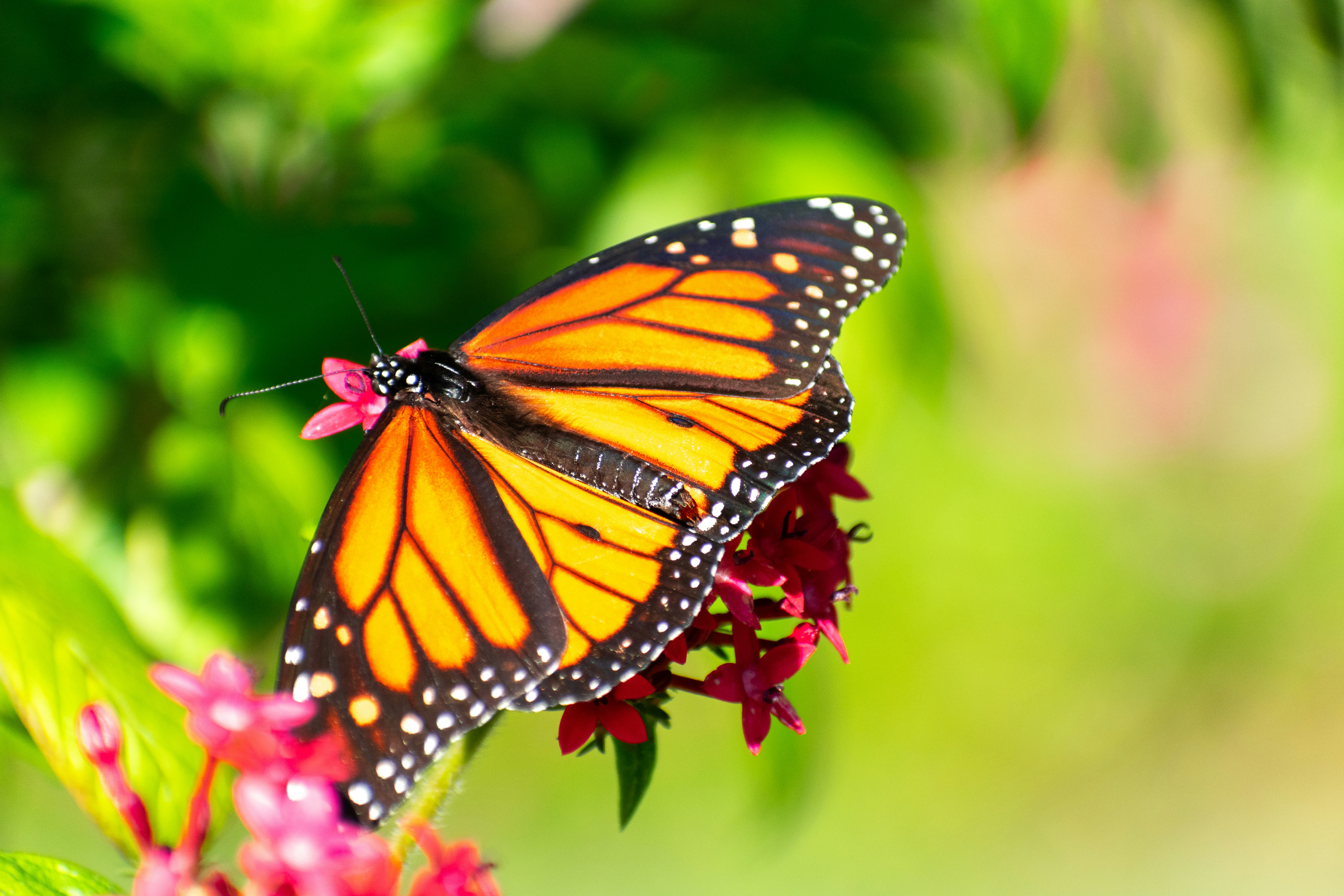 Photo by probablyrobin