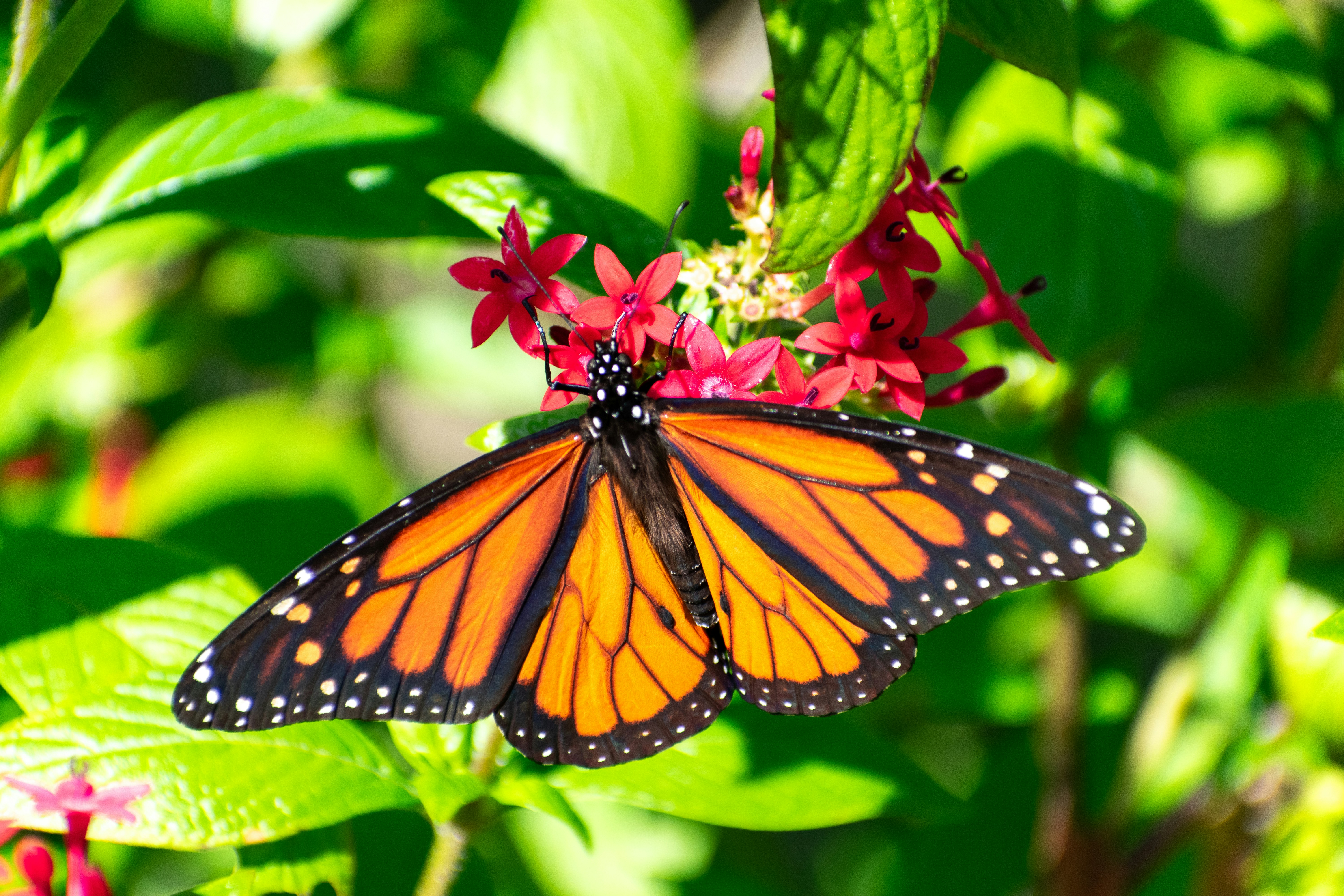 Photo by probablyrobin