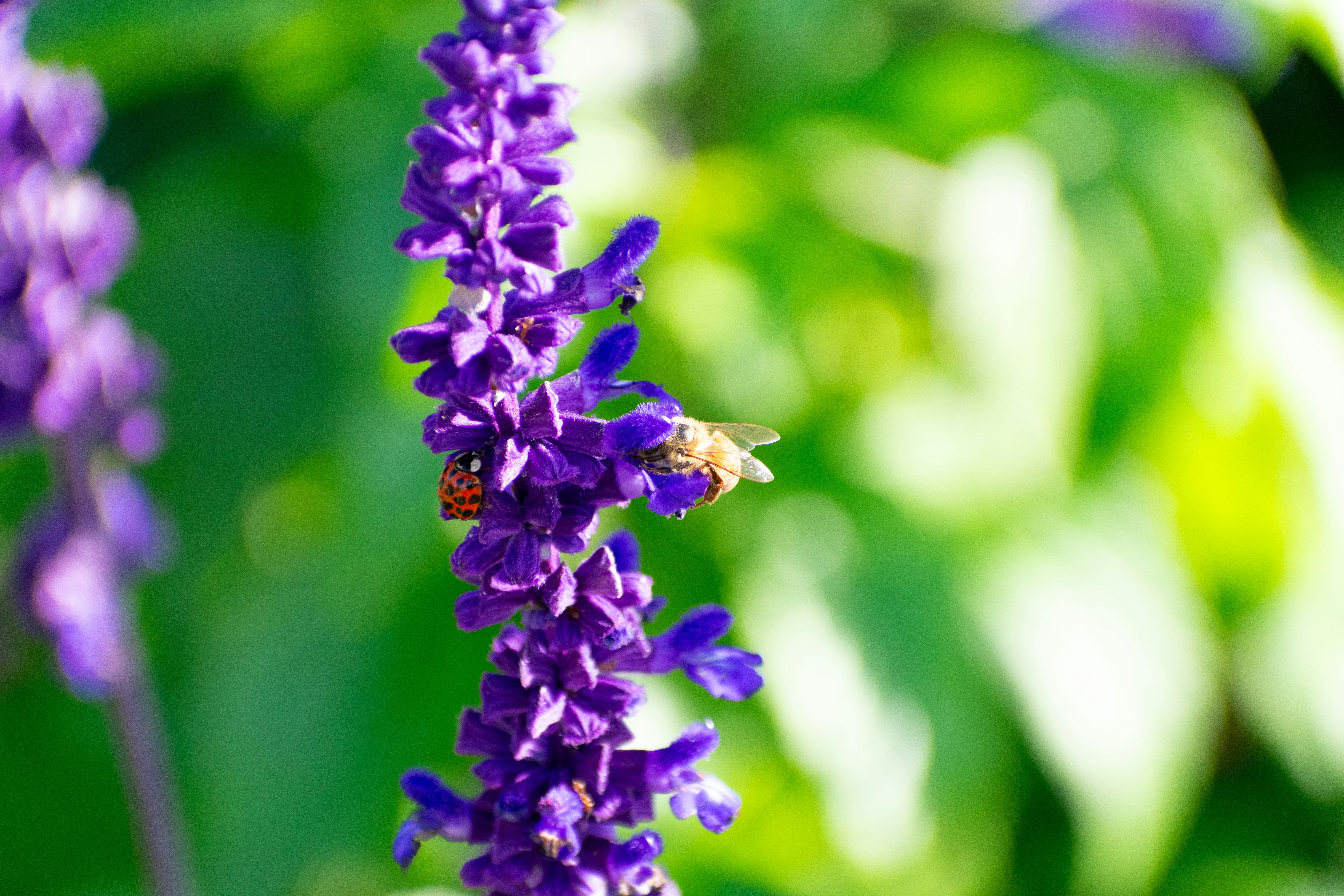 Photo by probablyrobin