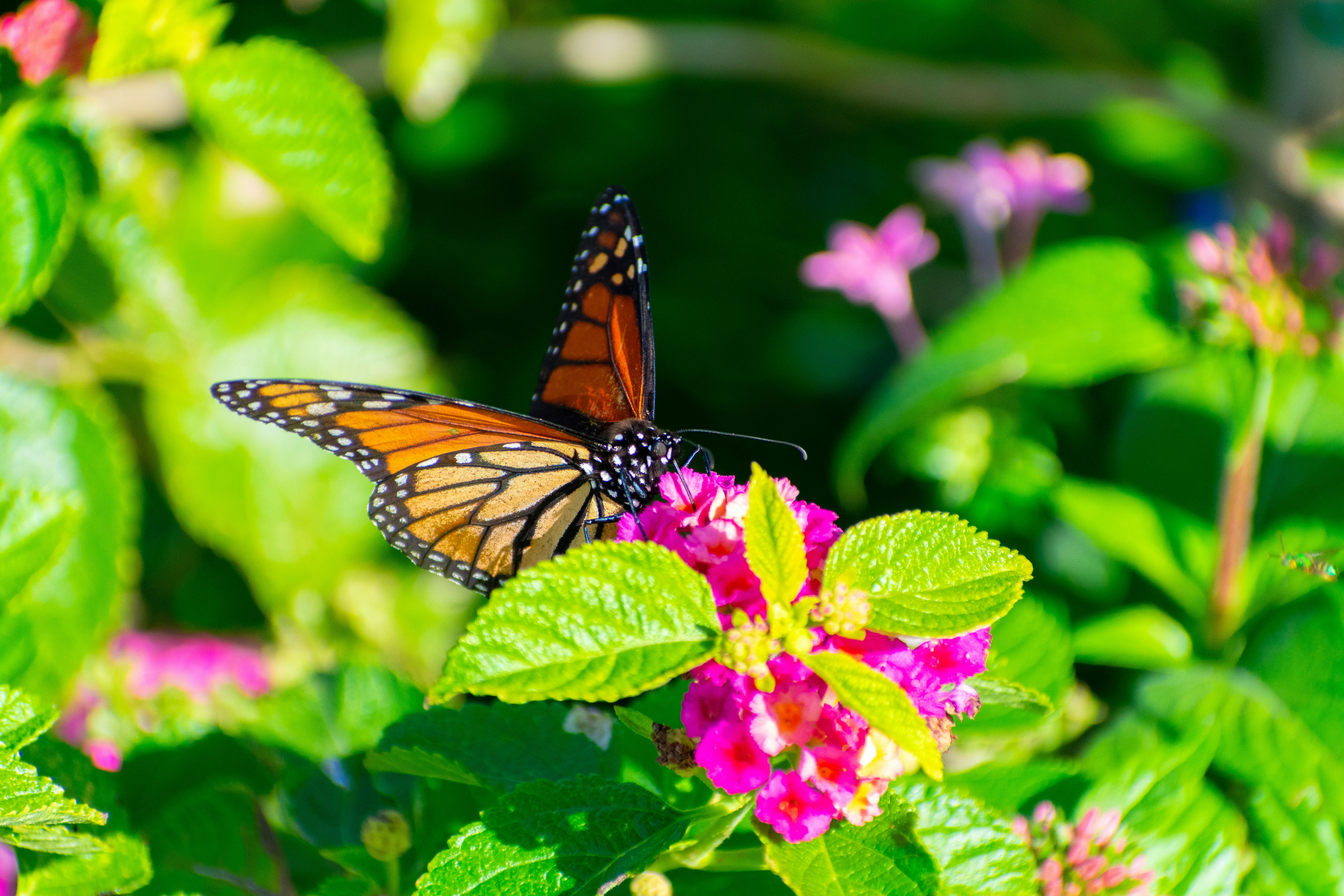 Photo by probablyrobin