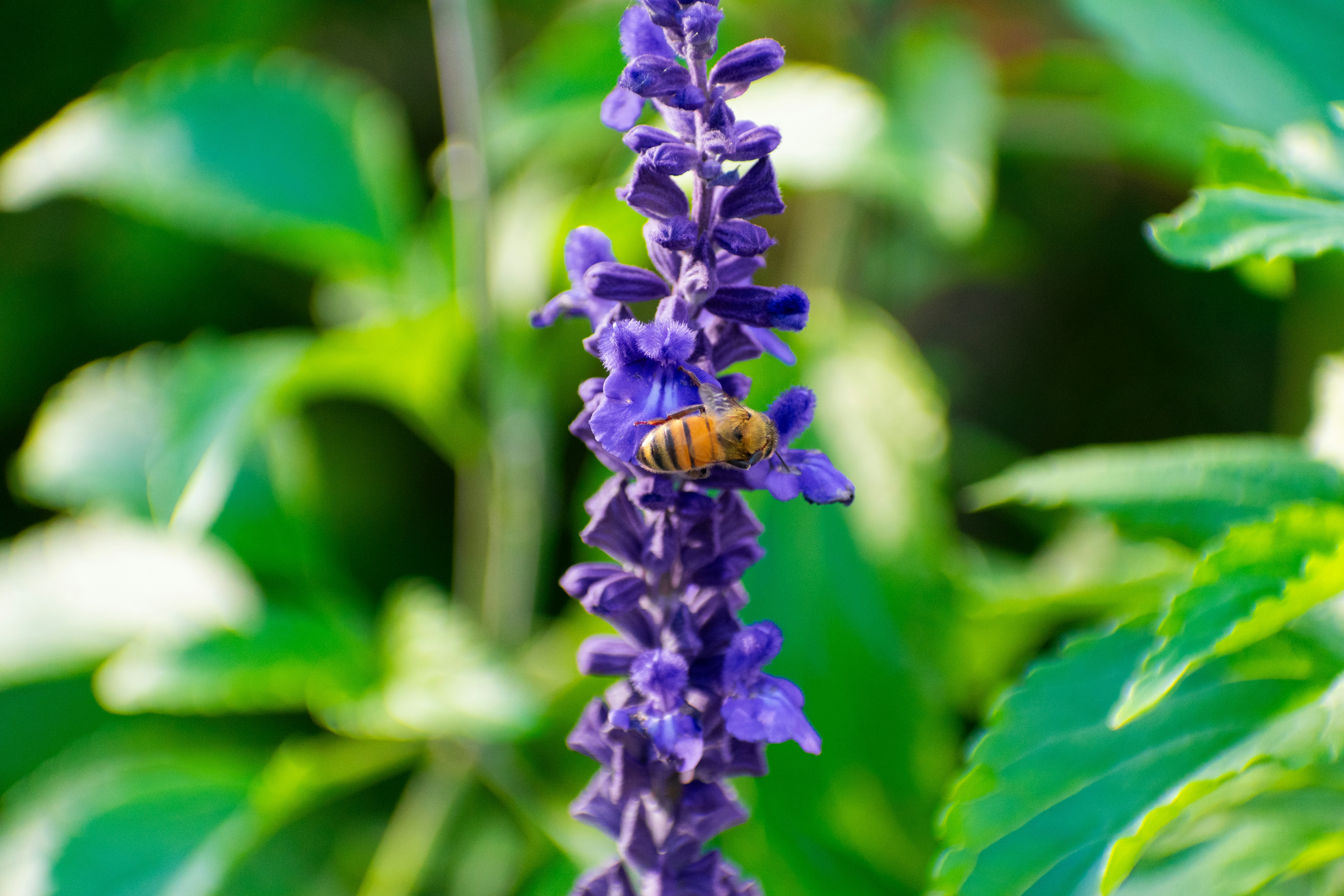 Photo by probablyrobin