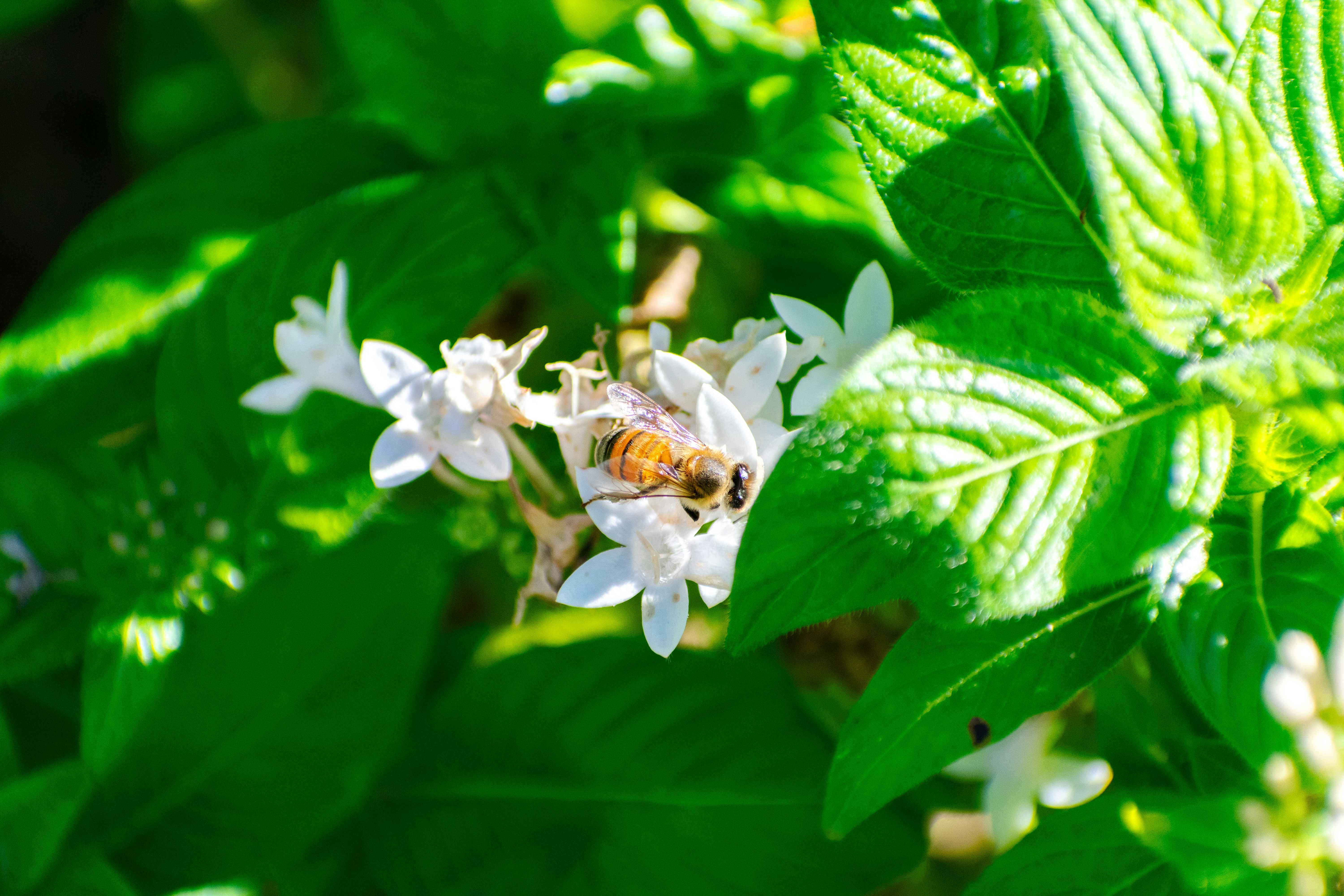 Photo by probablyrobin