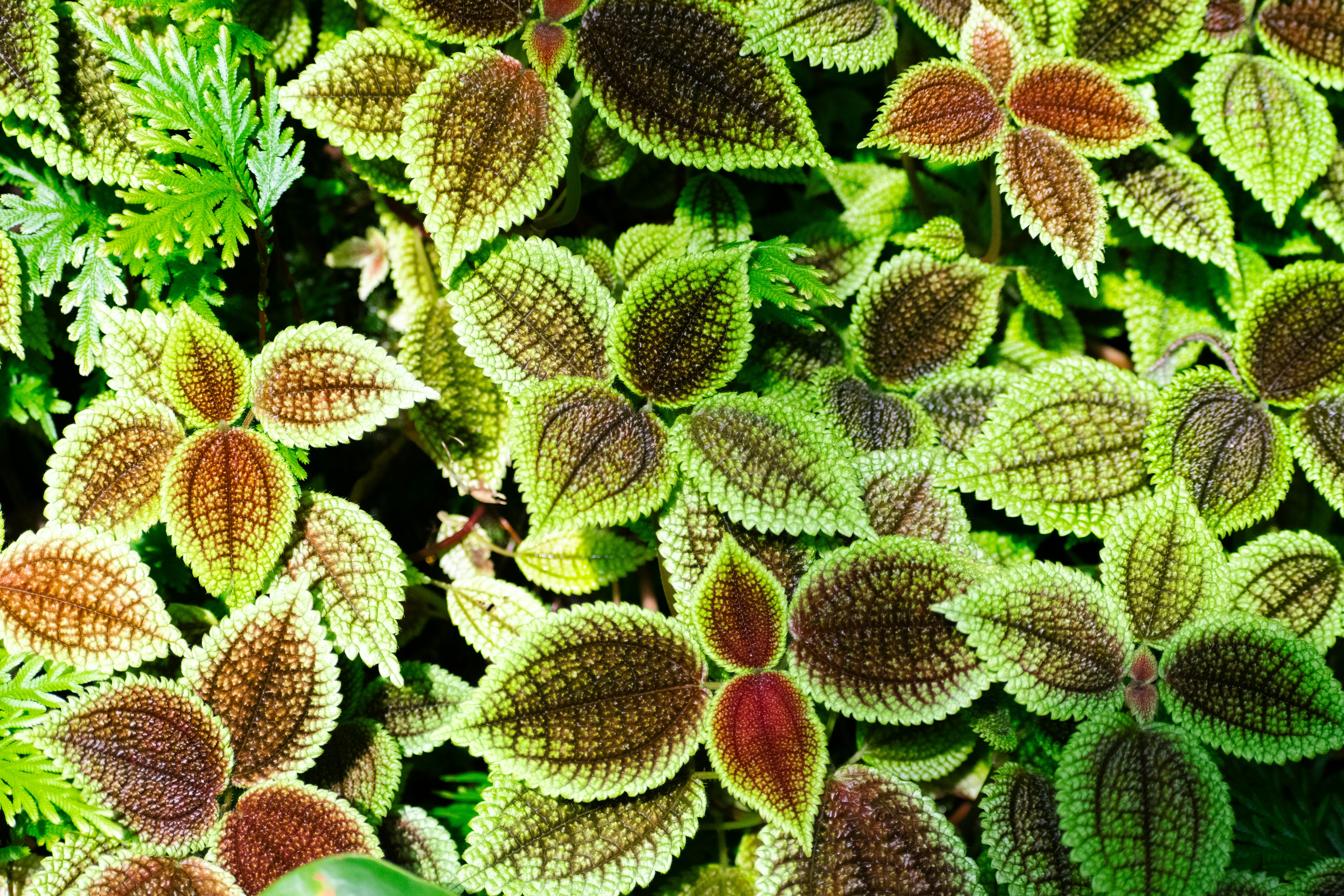 Photo by probablyrobin