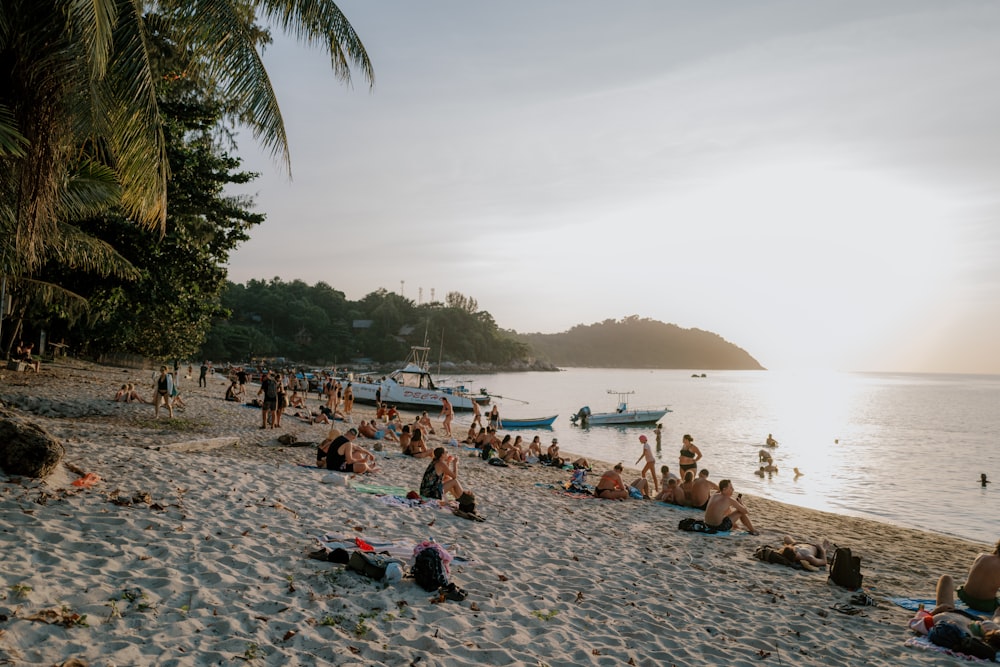 a group of people sitting on top of a sandy beach