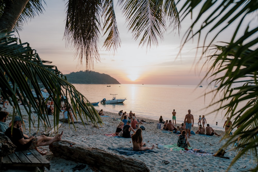 a group of people sitting on top of a sandy beach