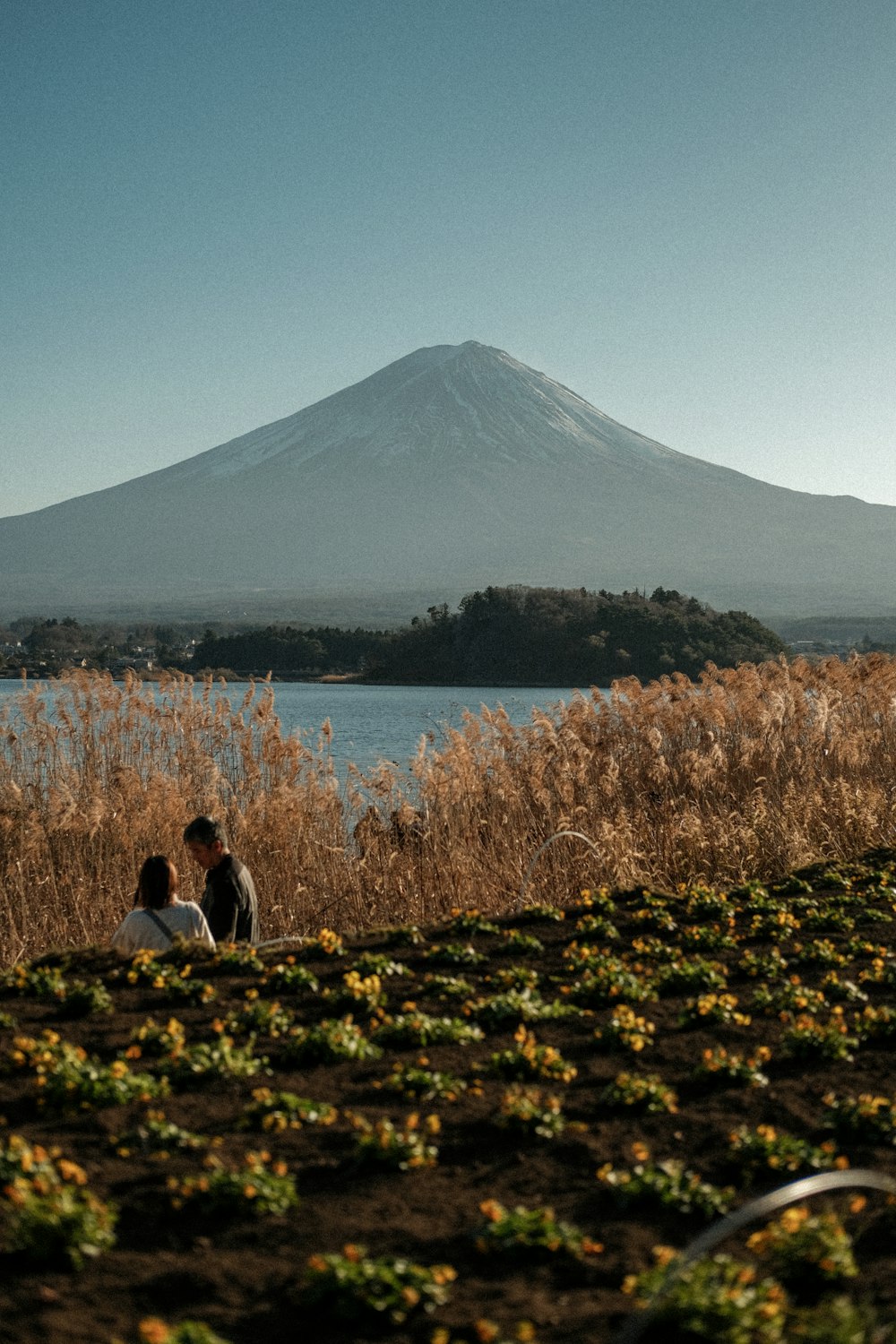 two people sitting on a bench near a body of water