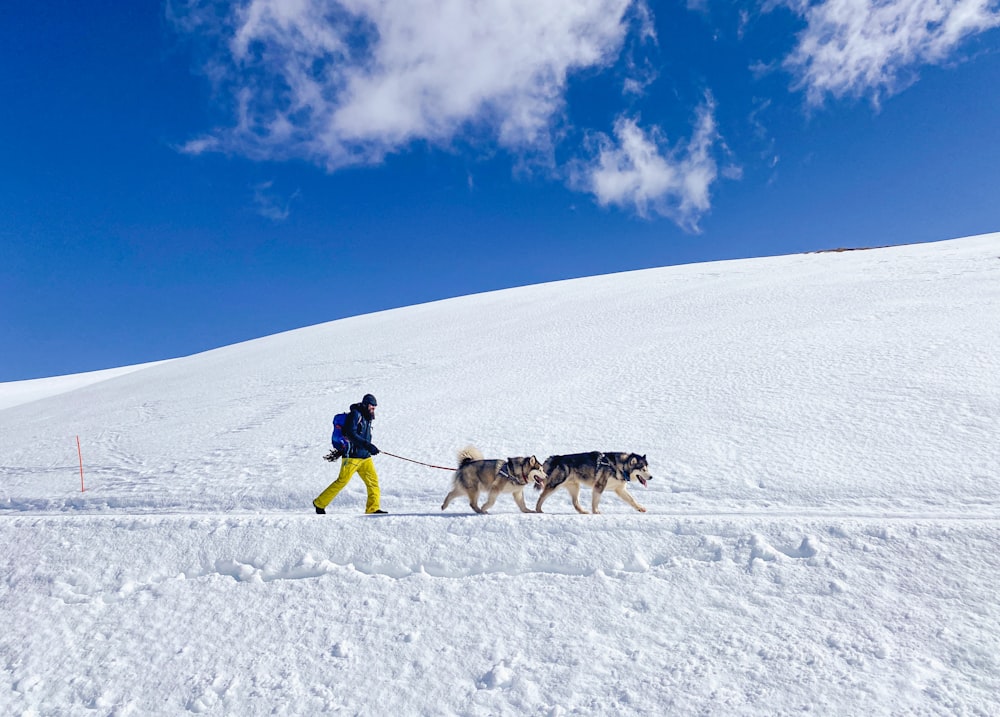 a man walking two dogs across a snow covered slope