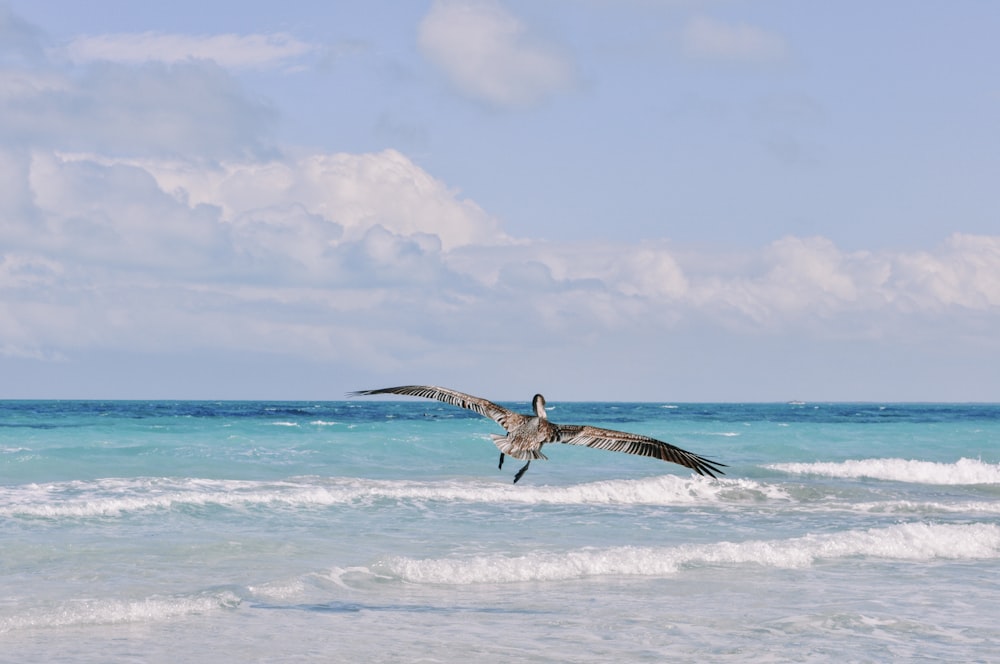 a large bird flying over the ocean waves
