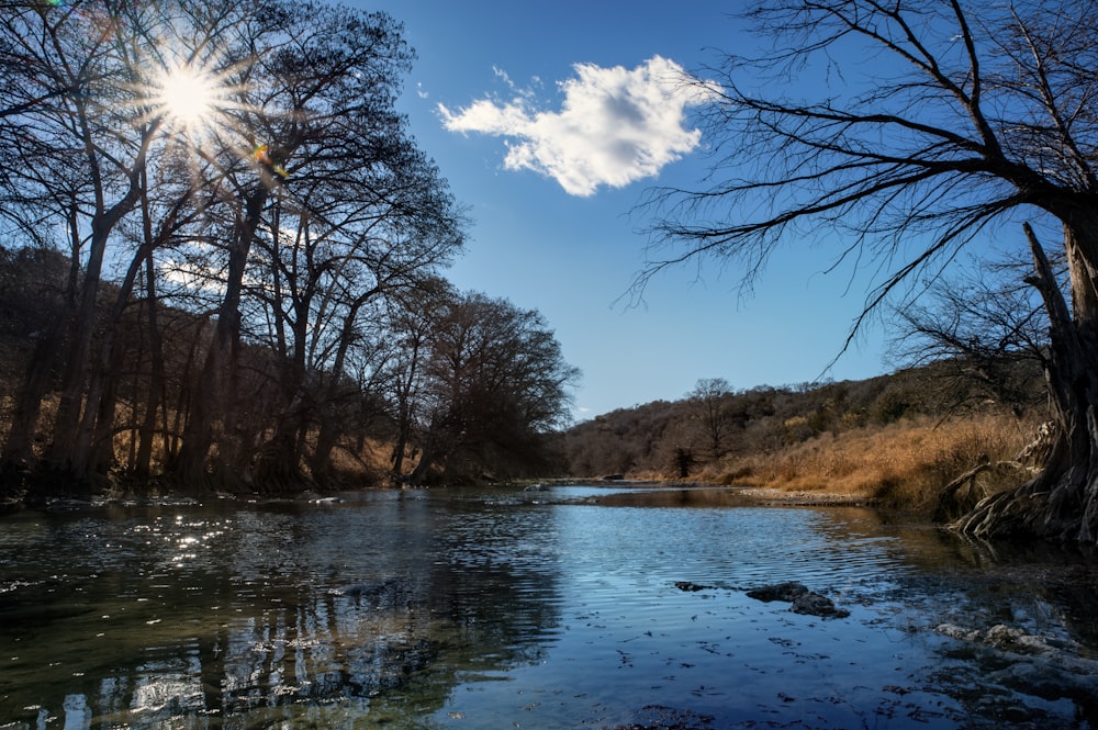 a body of water surrounded by trees and grass