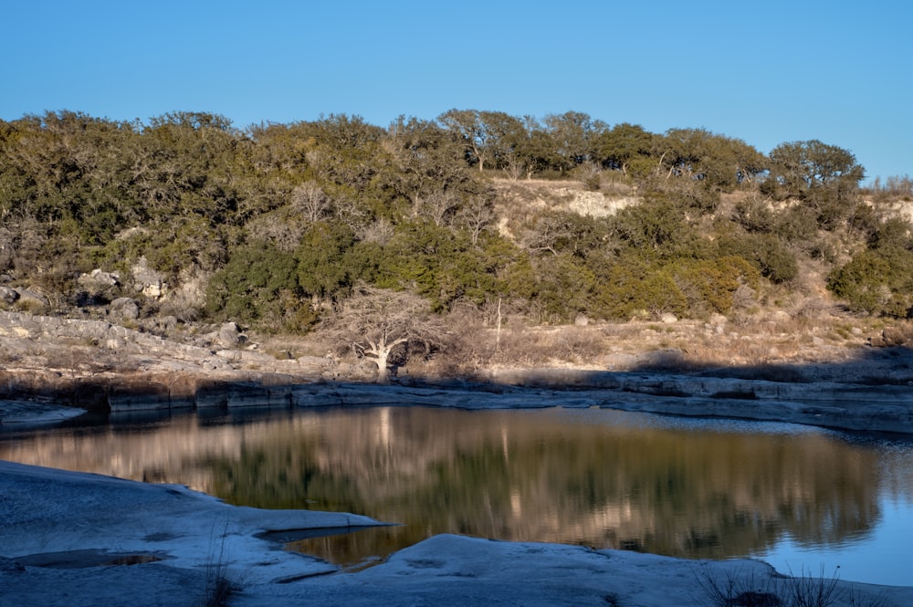 a small lake surrounded by snow and trees