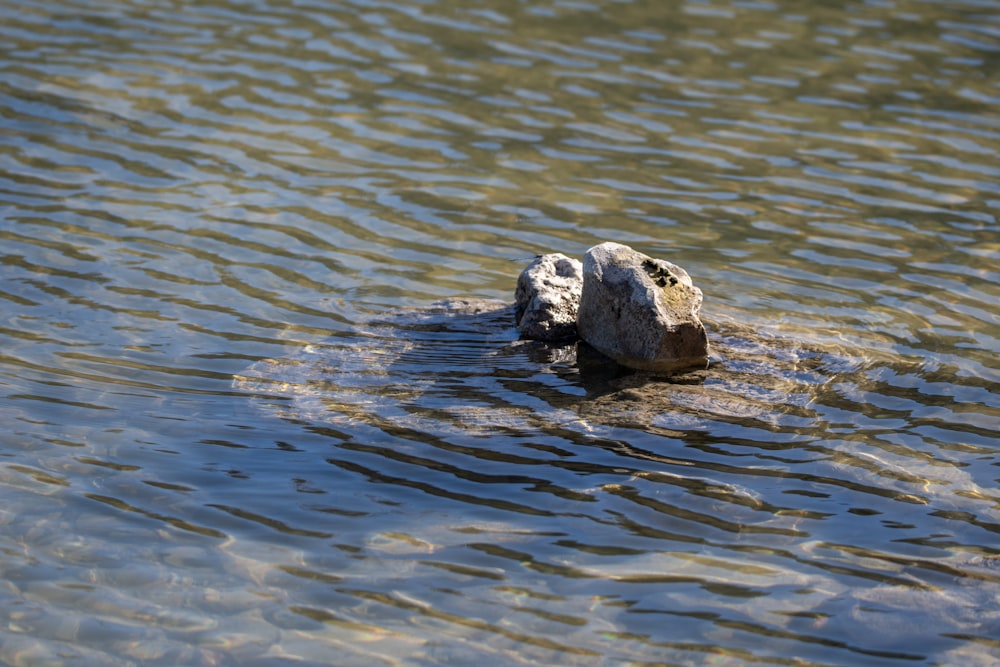 a rock in the middle of a body of water