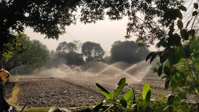 sprinklers are spraying water on a field