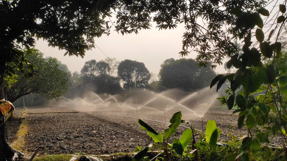 Sprinklers spraying water over a field