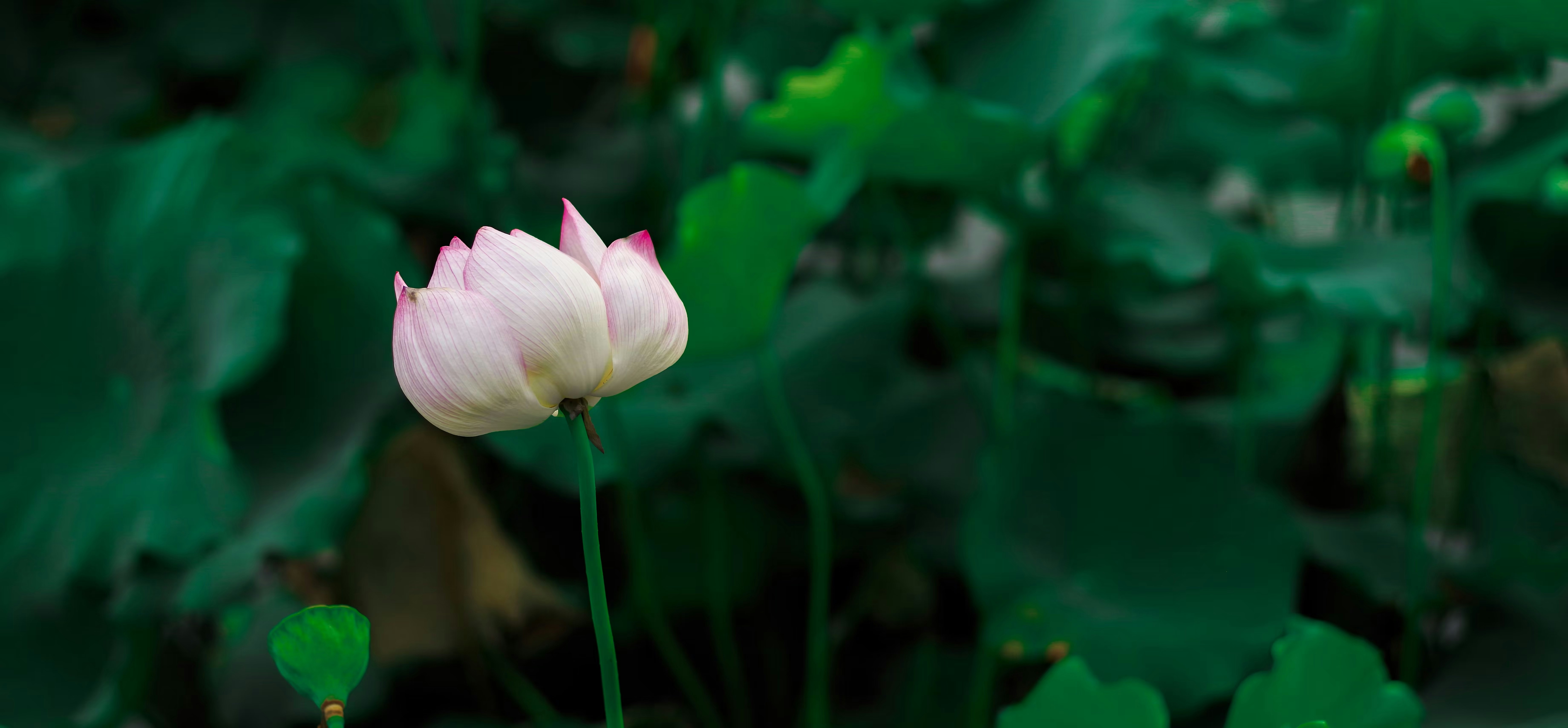 Photo by raphael1988