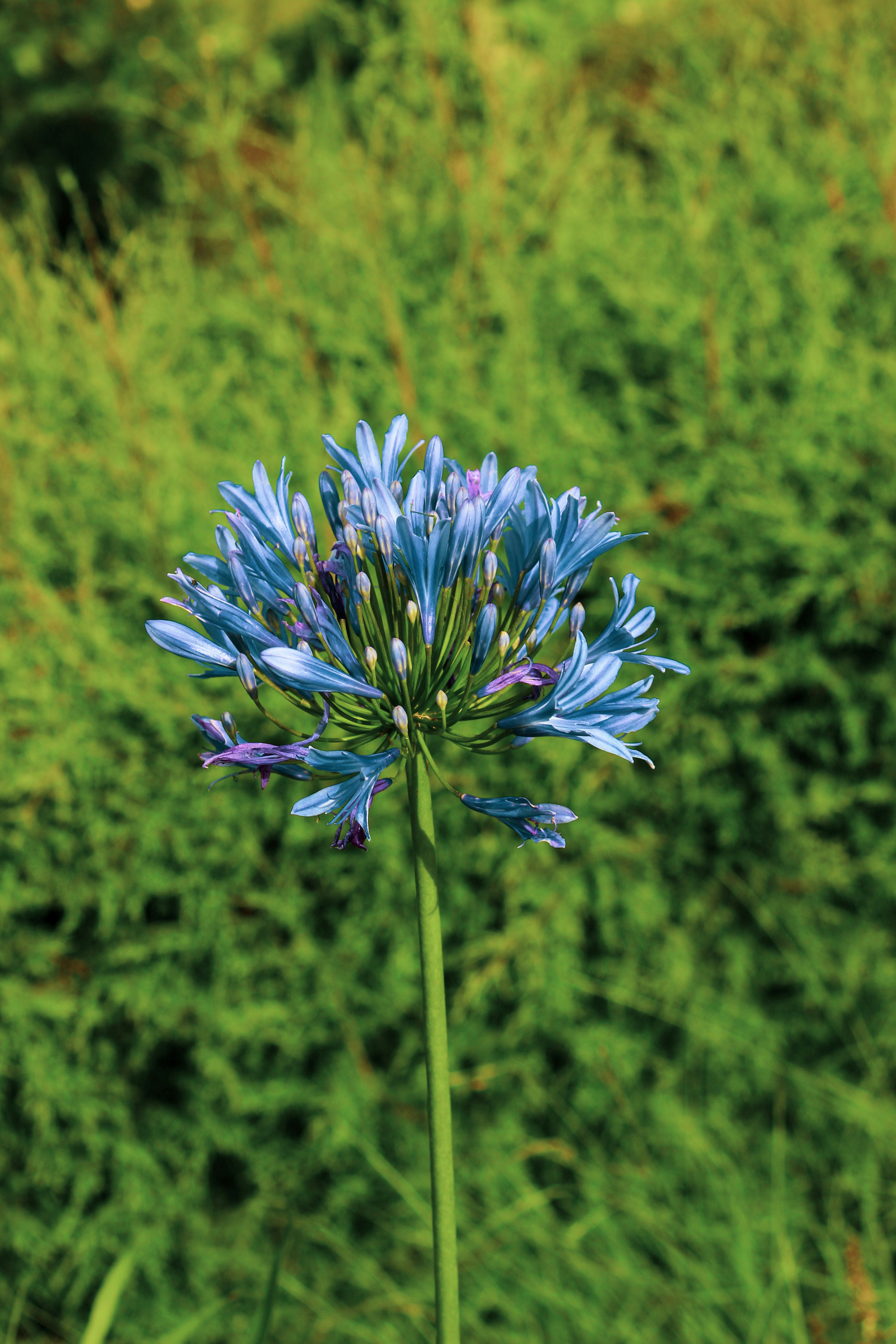 Photo by jabezjeyaraj