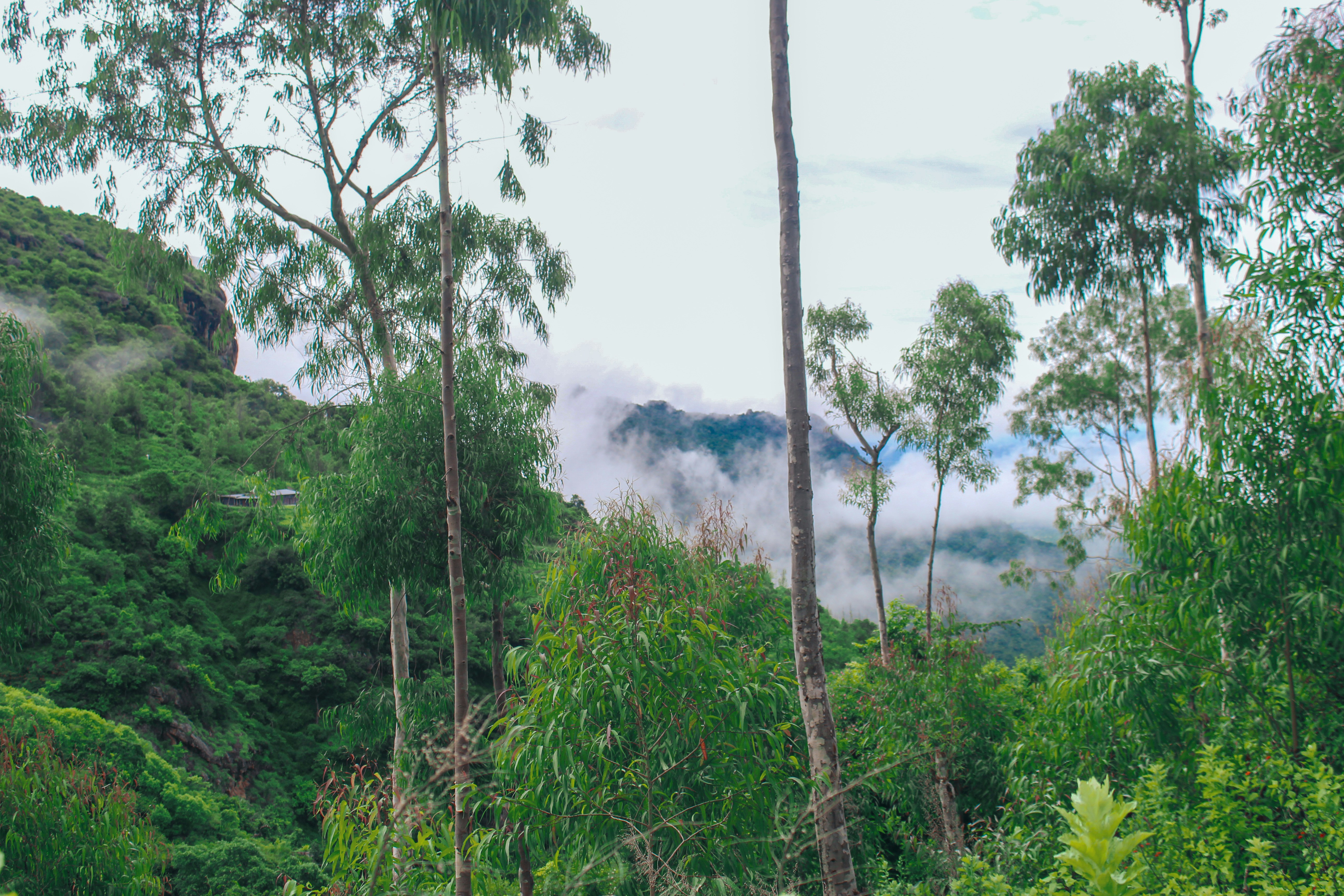 Photo by jabezjeyaraj