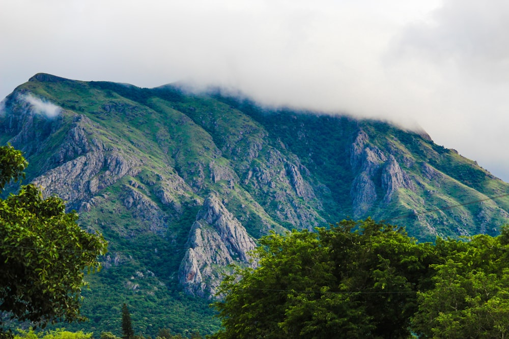 a very tall mountain covered in clouds and trees