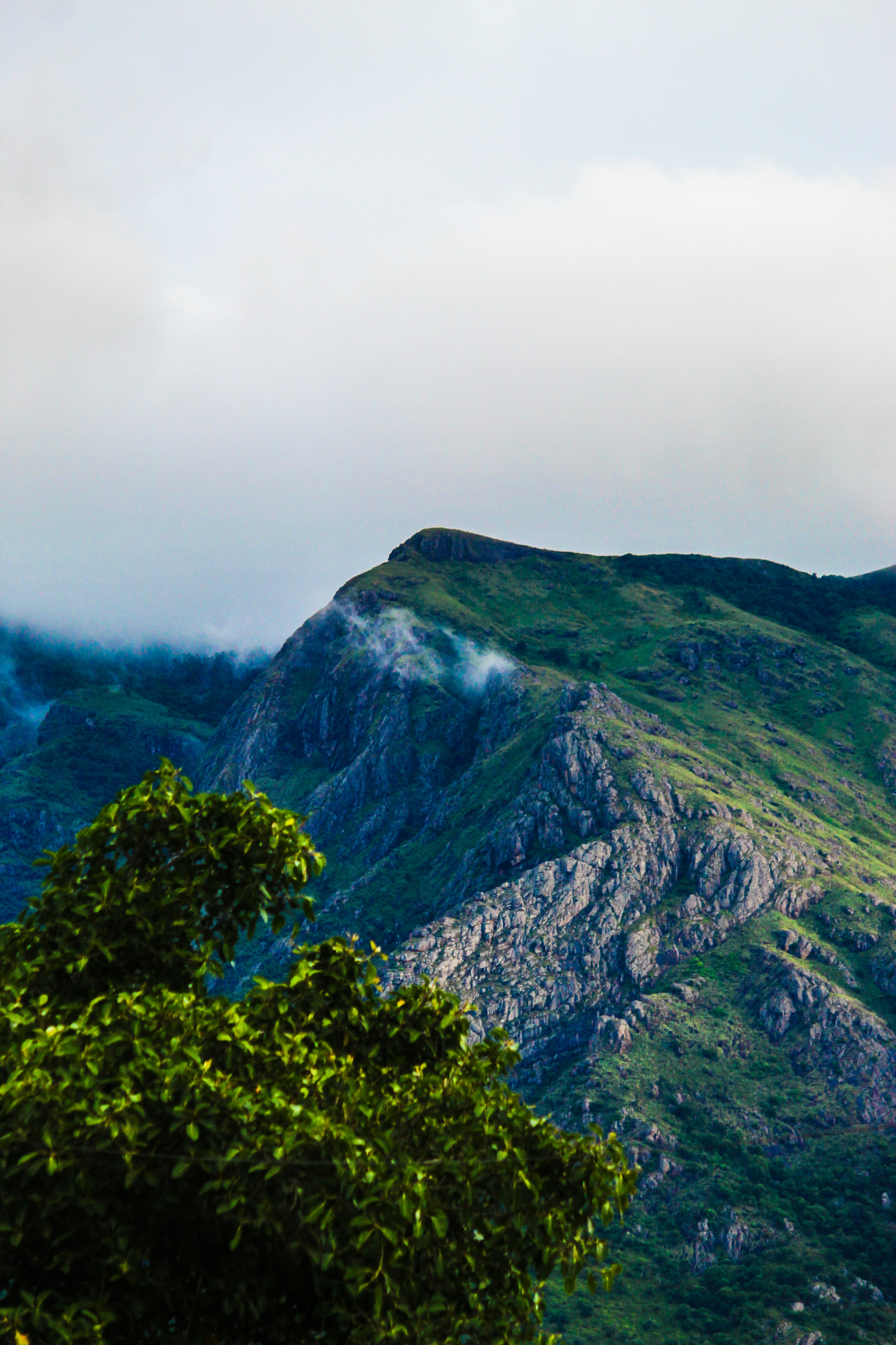 Photo by jabezjeyaraj