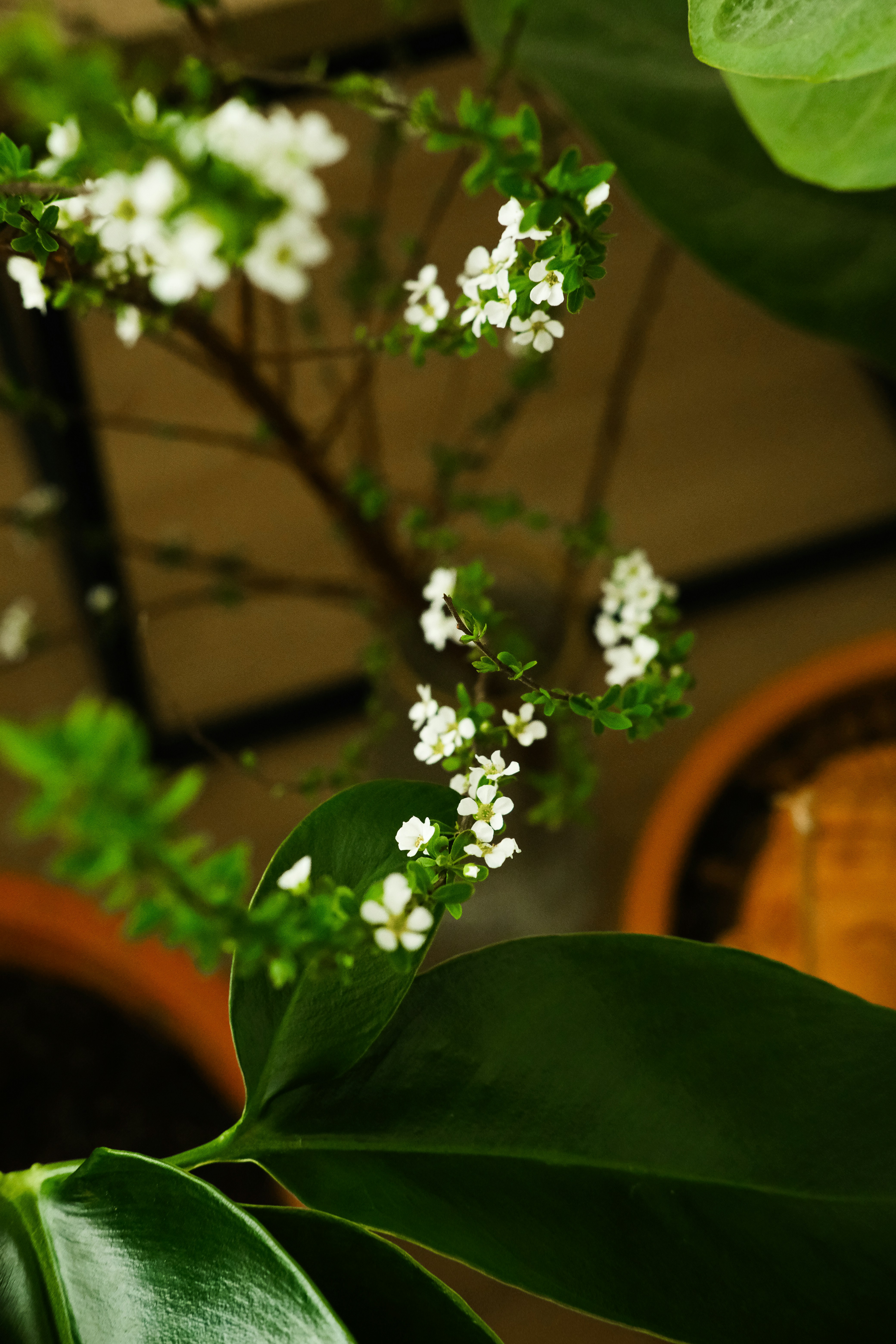 Photo by nganduong93