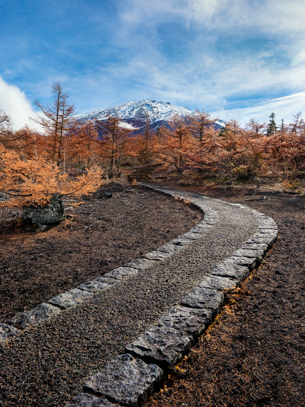 a path in the middle of a field with a mountain in the background