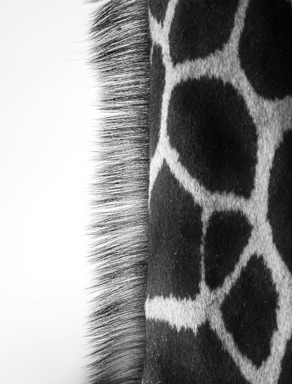 a close up of a giraffe's fur