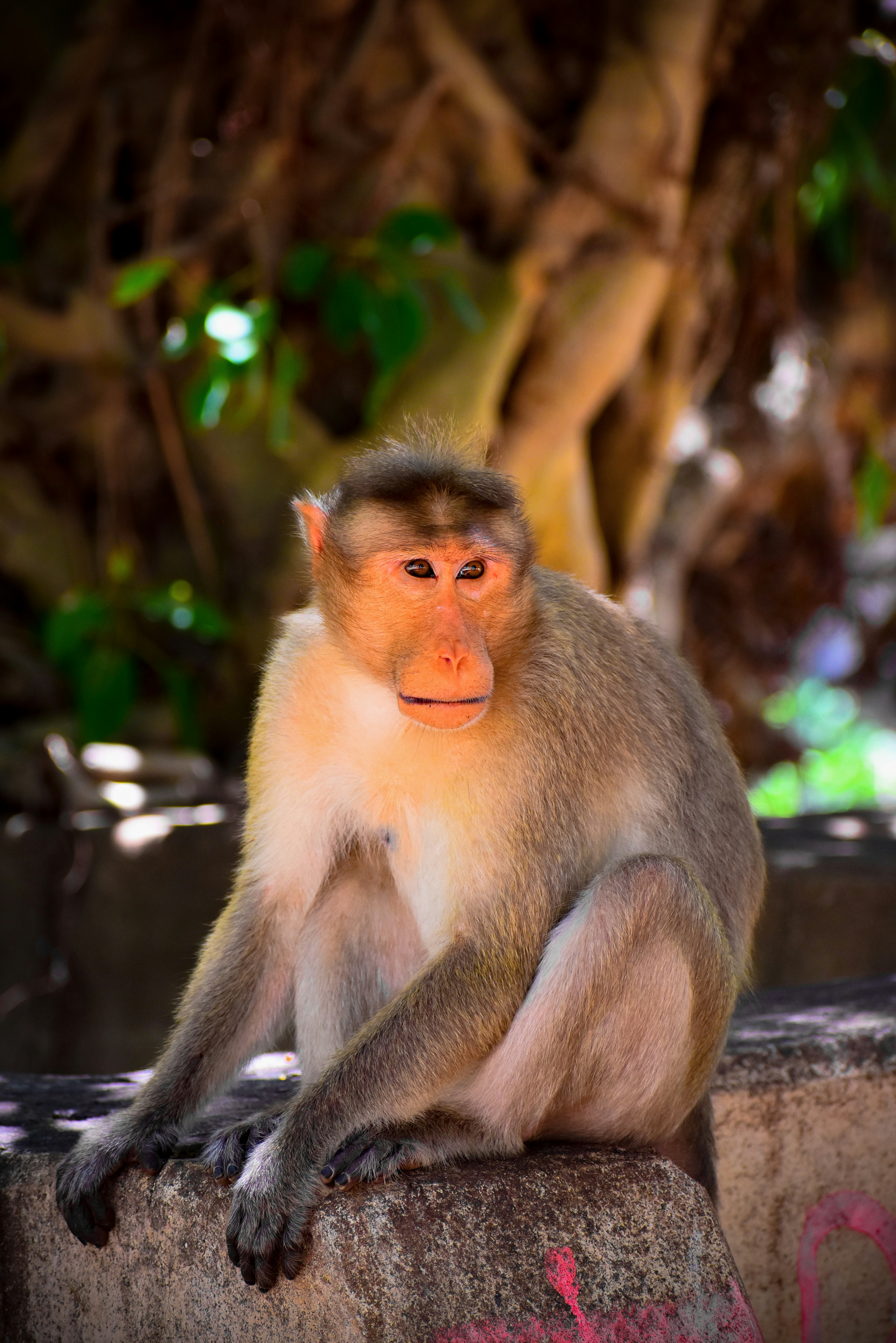 Photo by hacker_camerwork