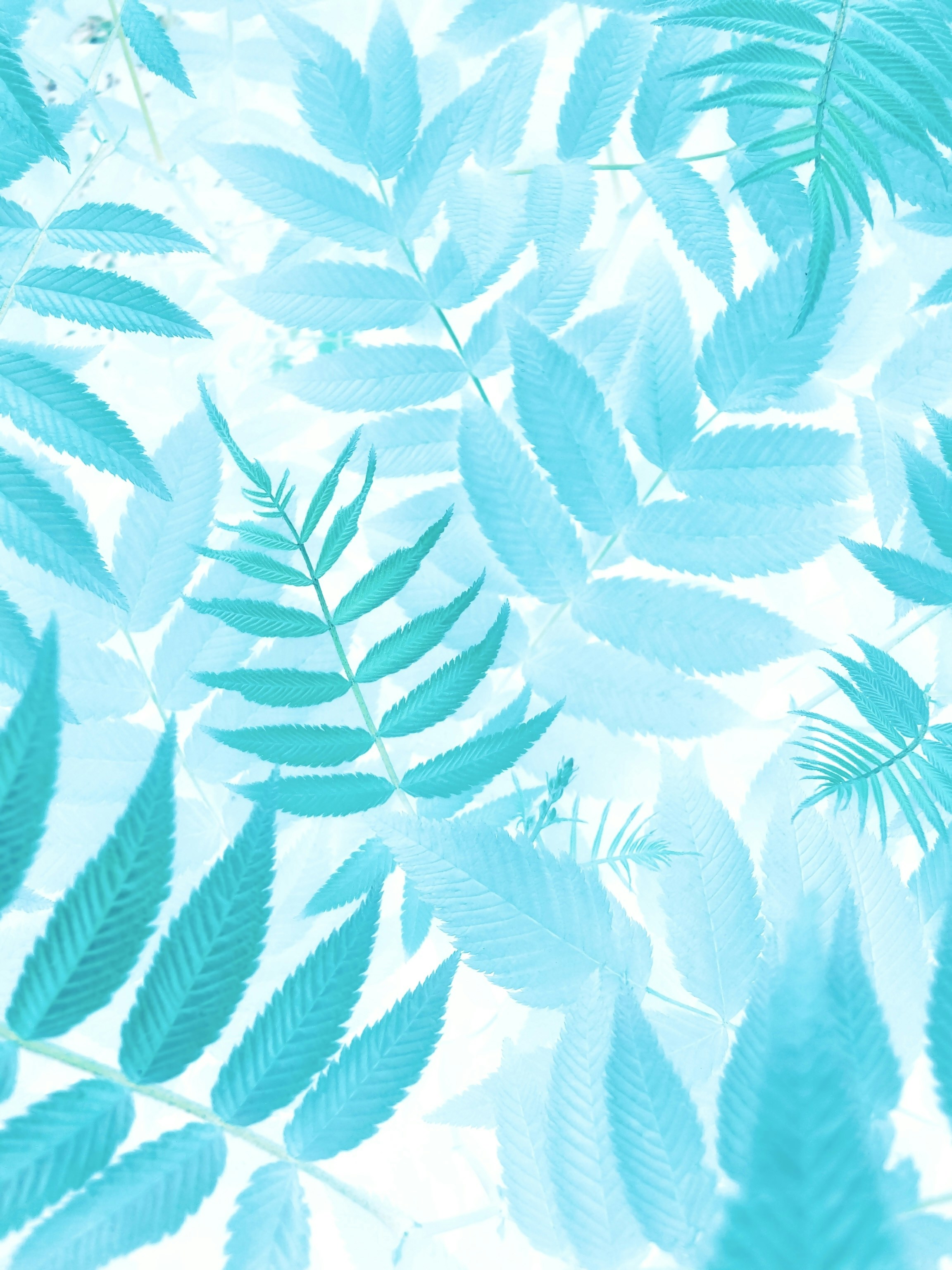 Photo by eugene_golovesov