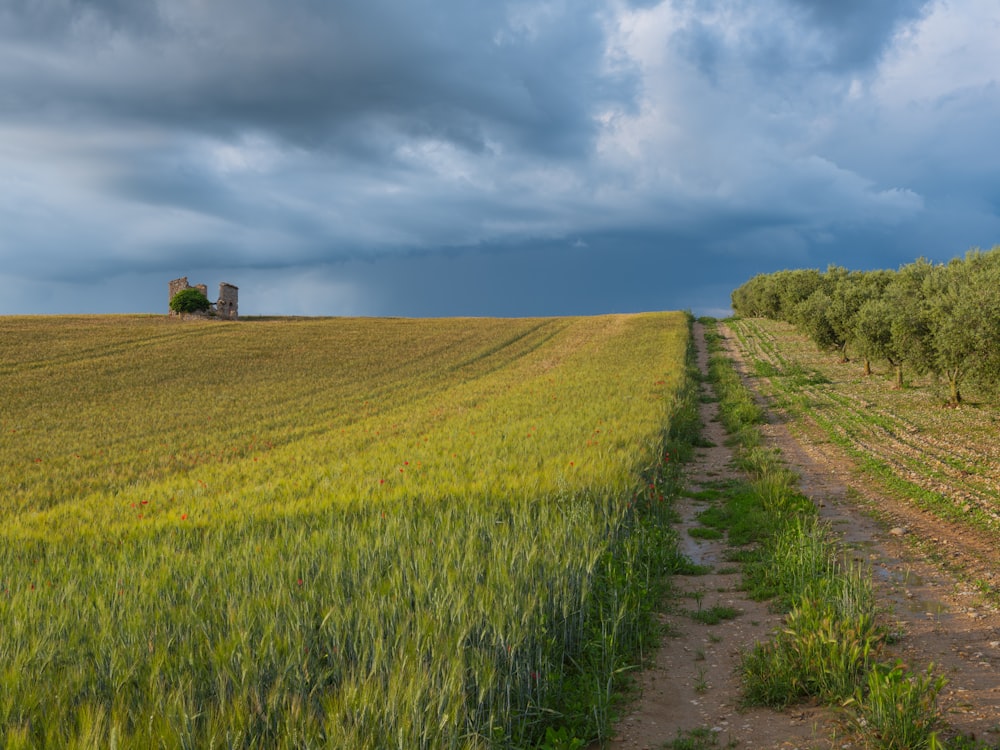 uma estrada de terra que atravessa um campo verde sob um céu nublado