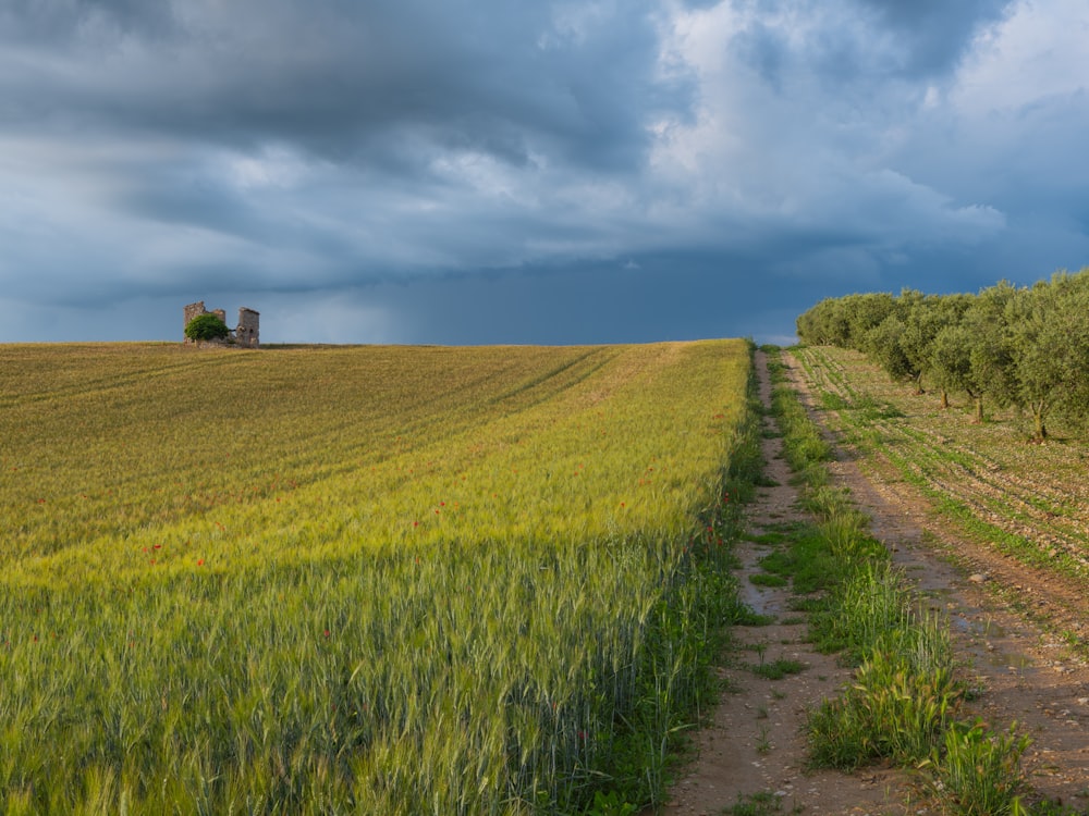 a dirt road running through a green field under a cloudy sky