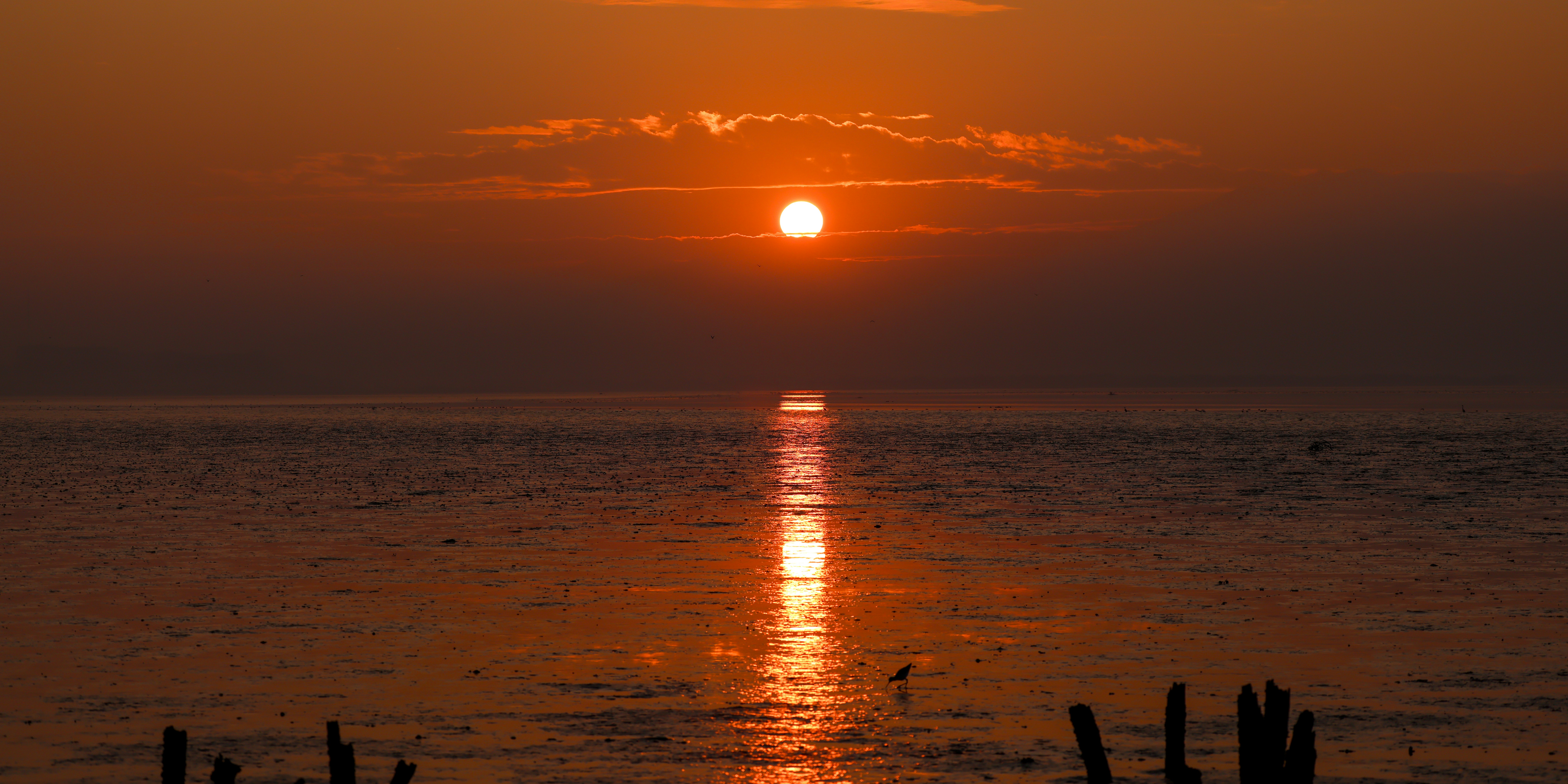 Photo by dickenslin76