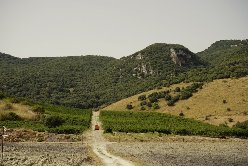 a dirt road in the middle of a lush green valley