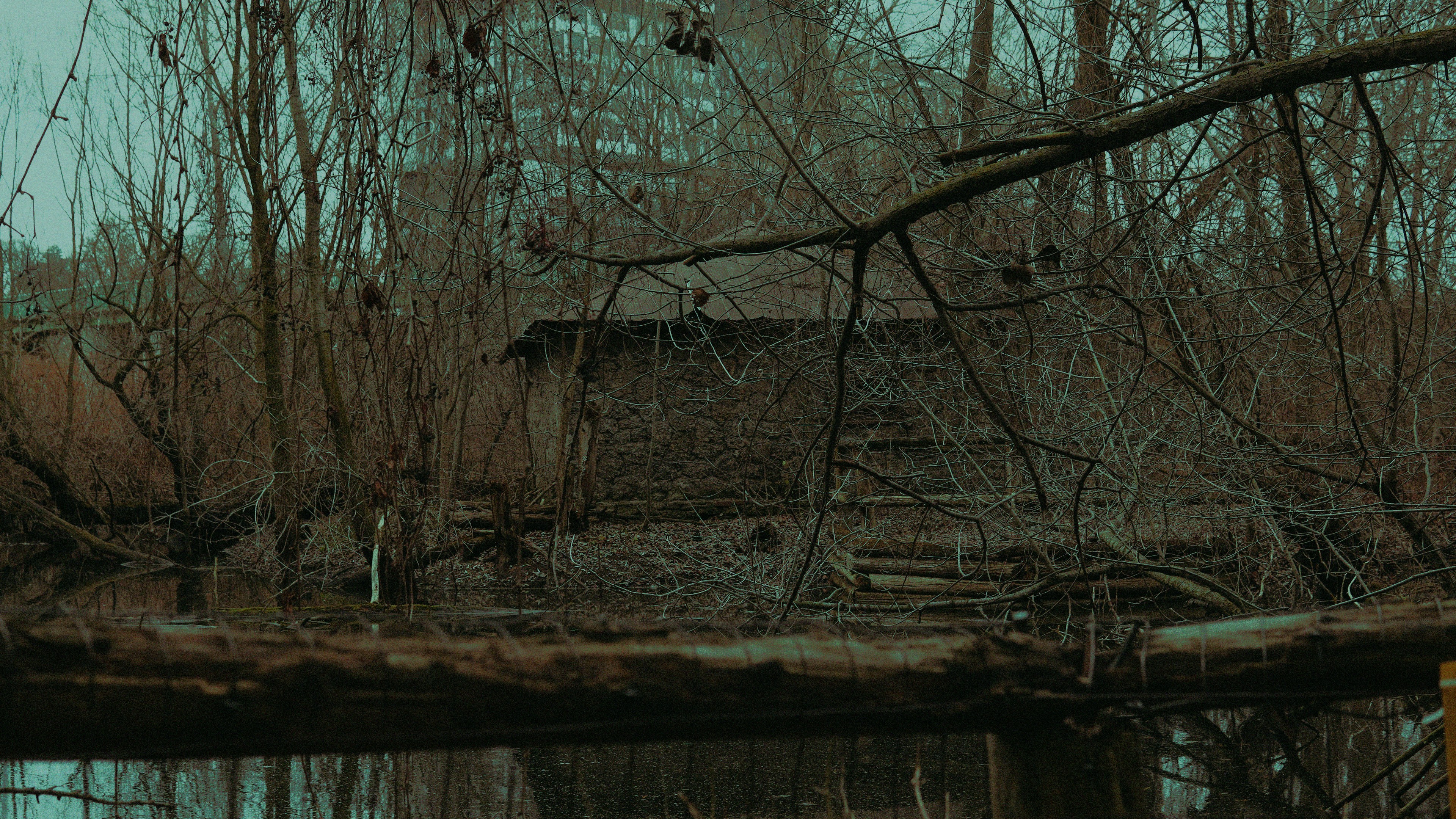 Photo by trilephotography