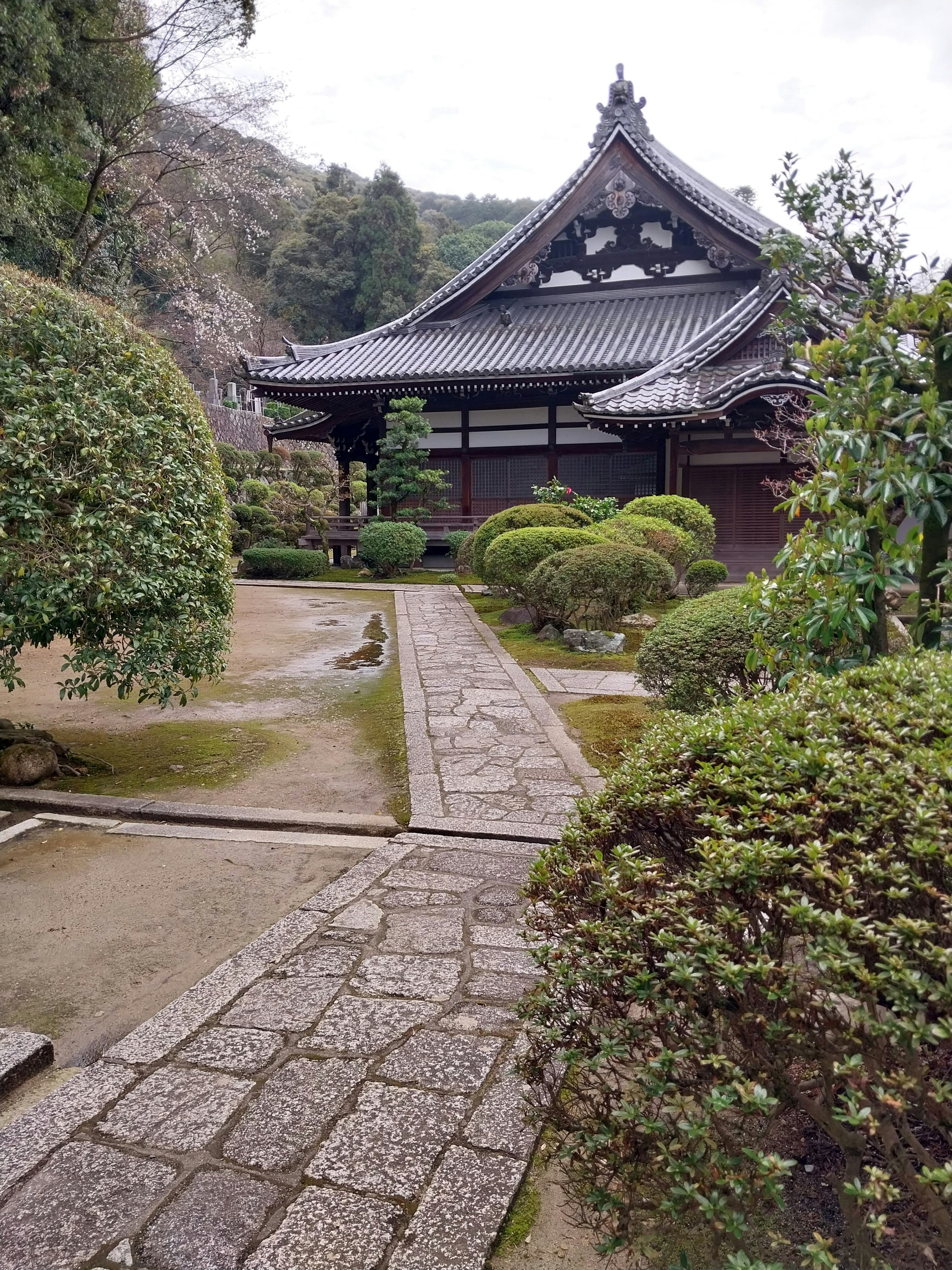 Photo by timon_art_fx