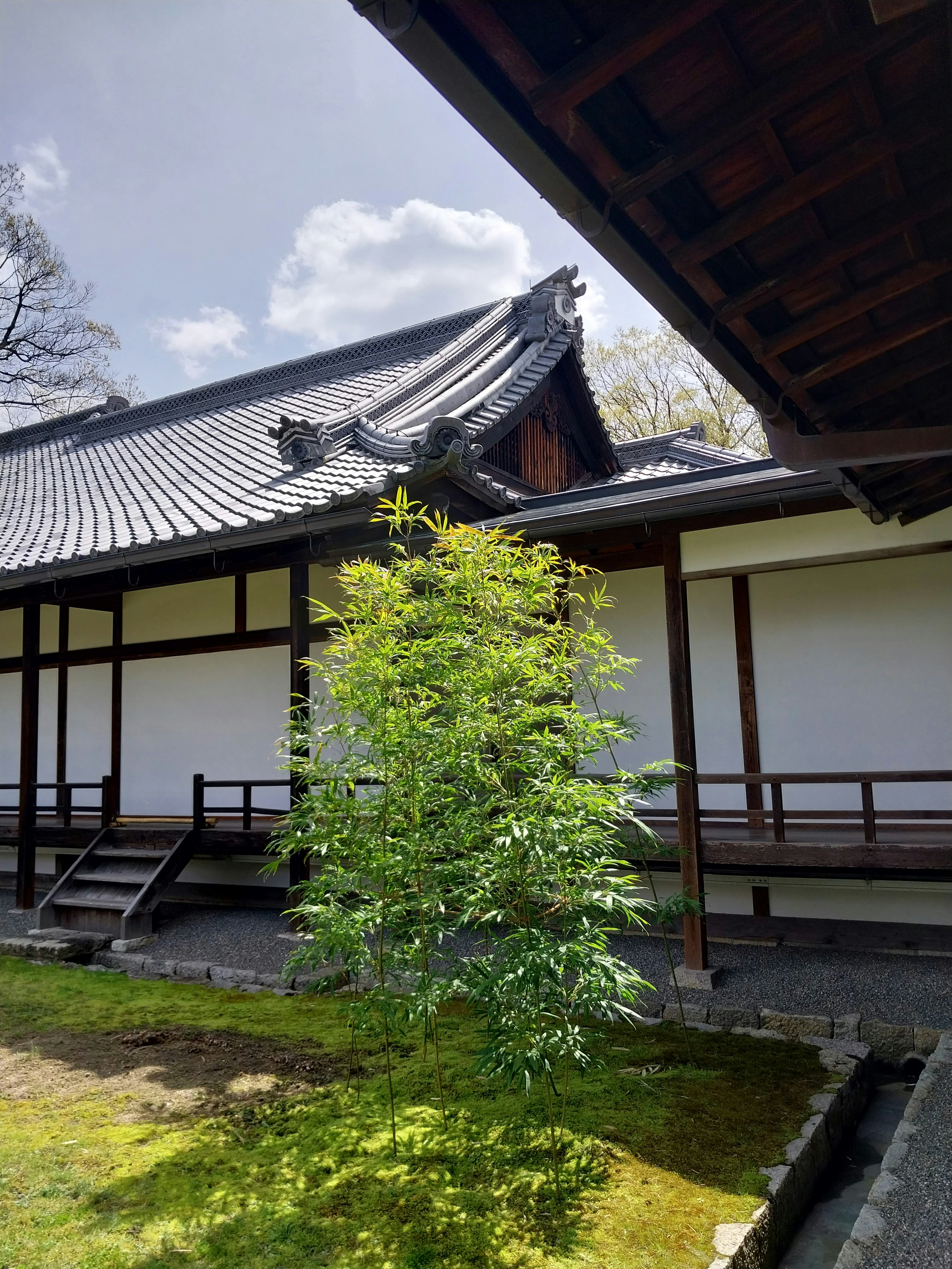 Photo by timon_art_fx