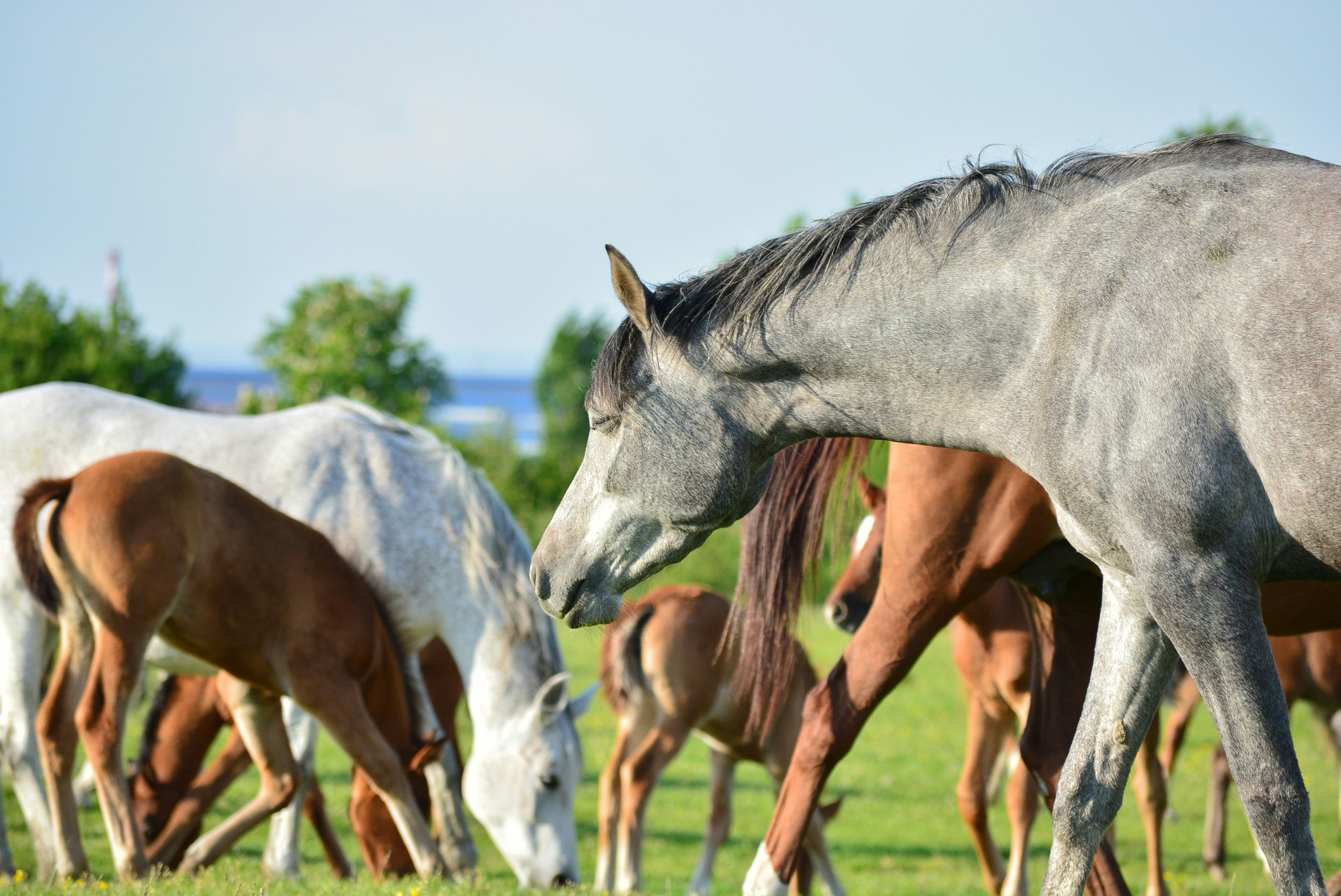 Photo by oblacko_oorta