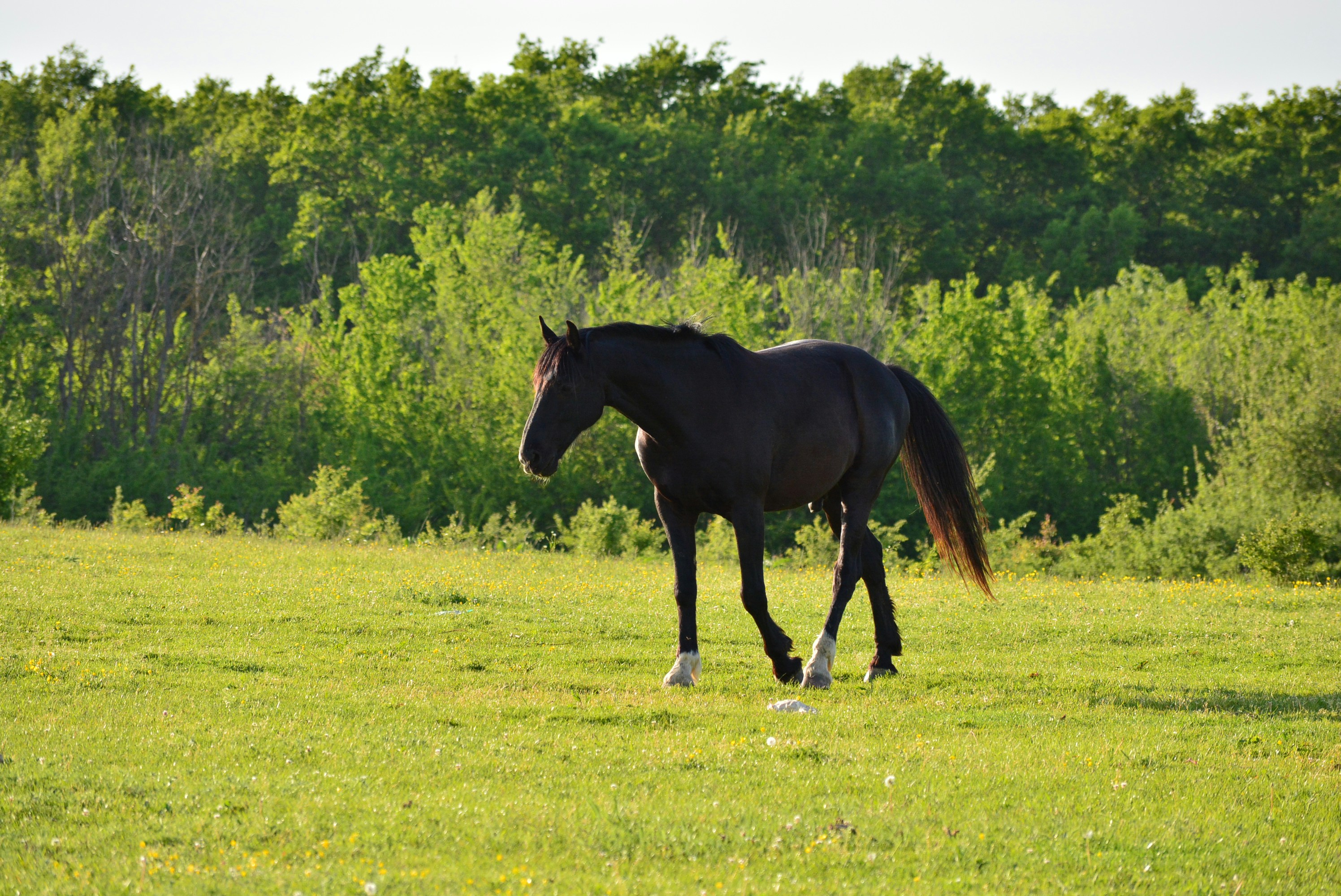 Photo by oblacko_oorta