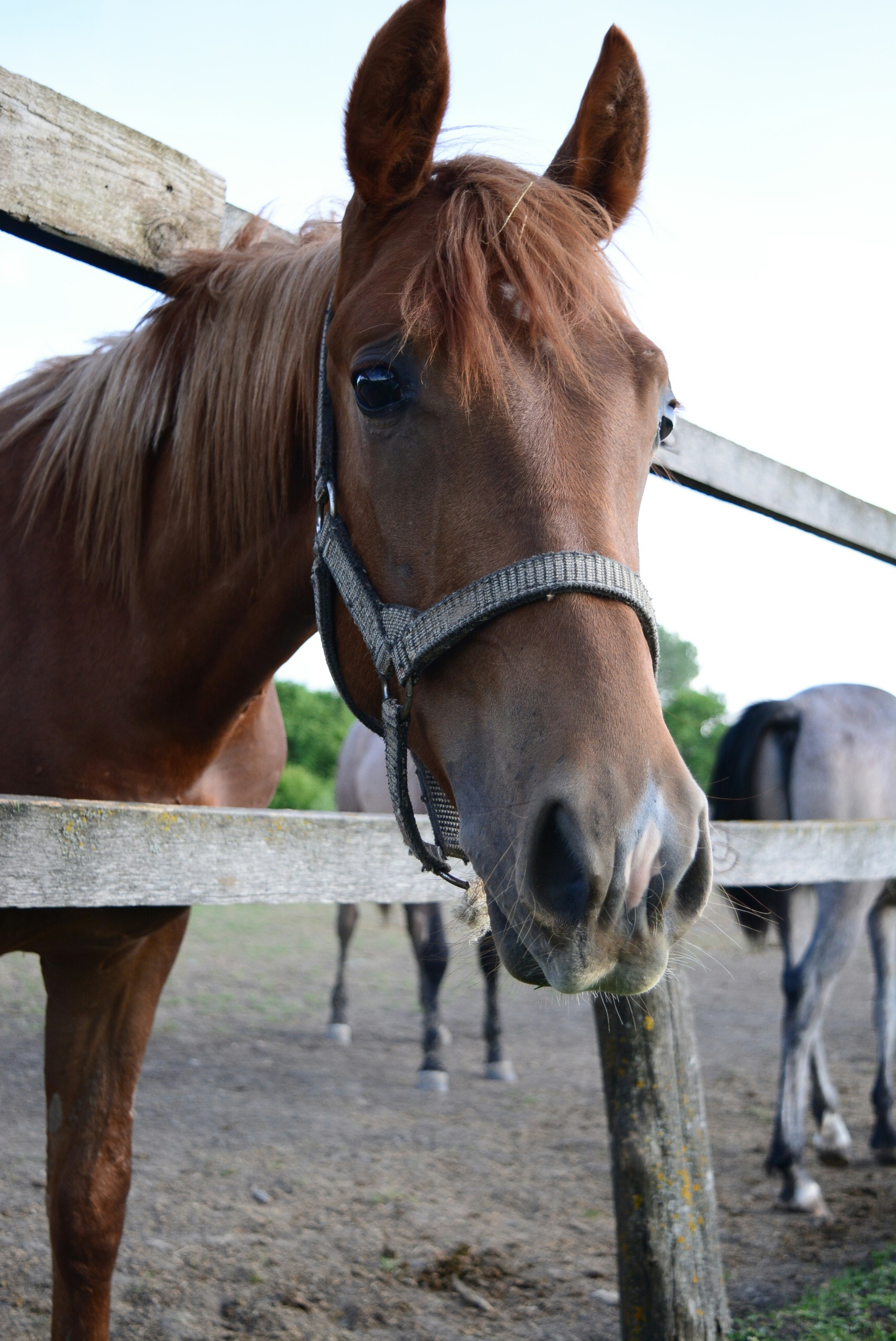 Photo by oblacko_oorta