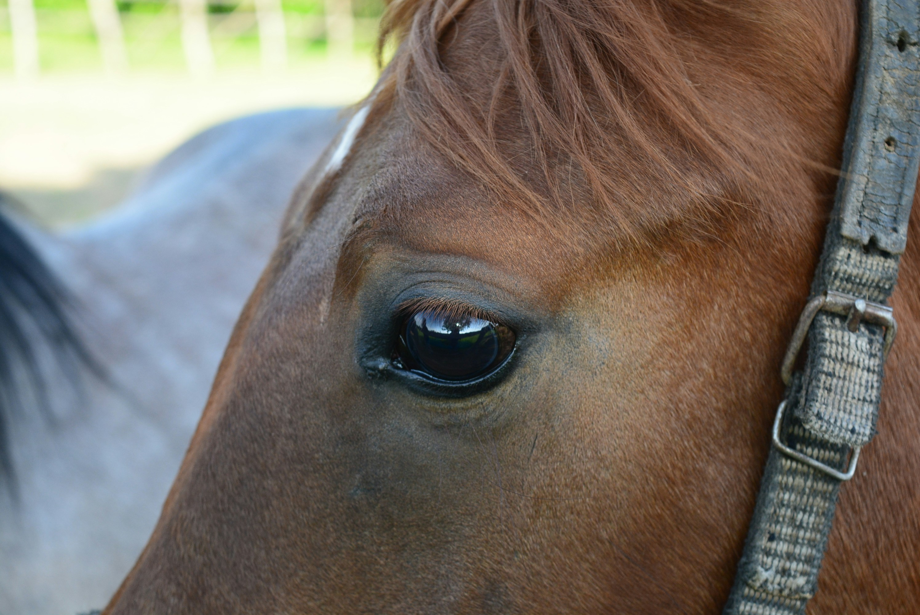 Photo by oblacko_oorta