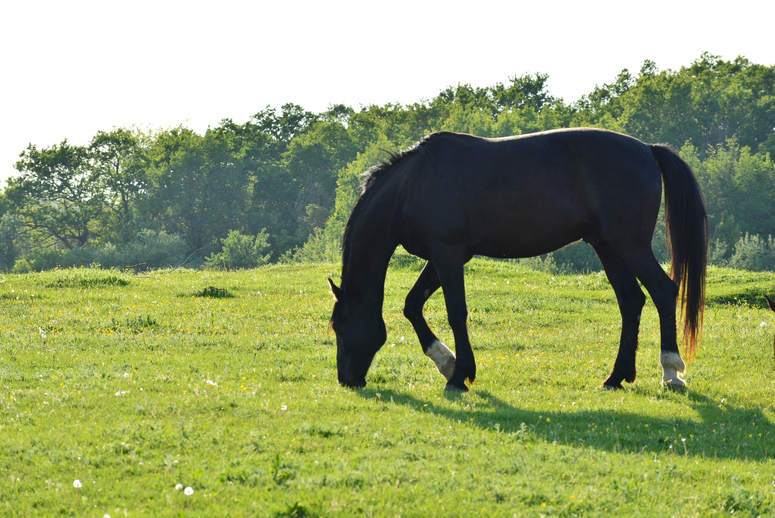 Photo by oblacko_oorta