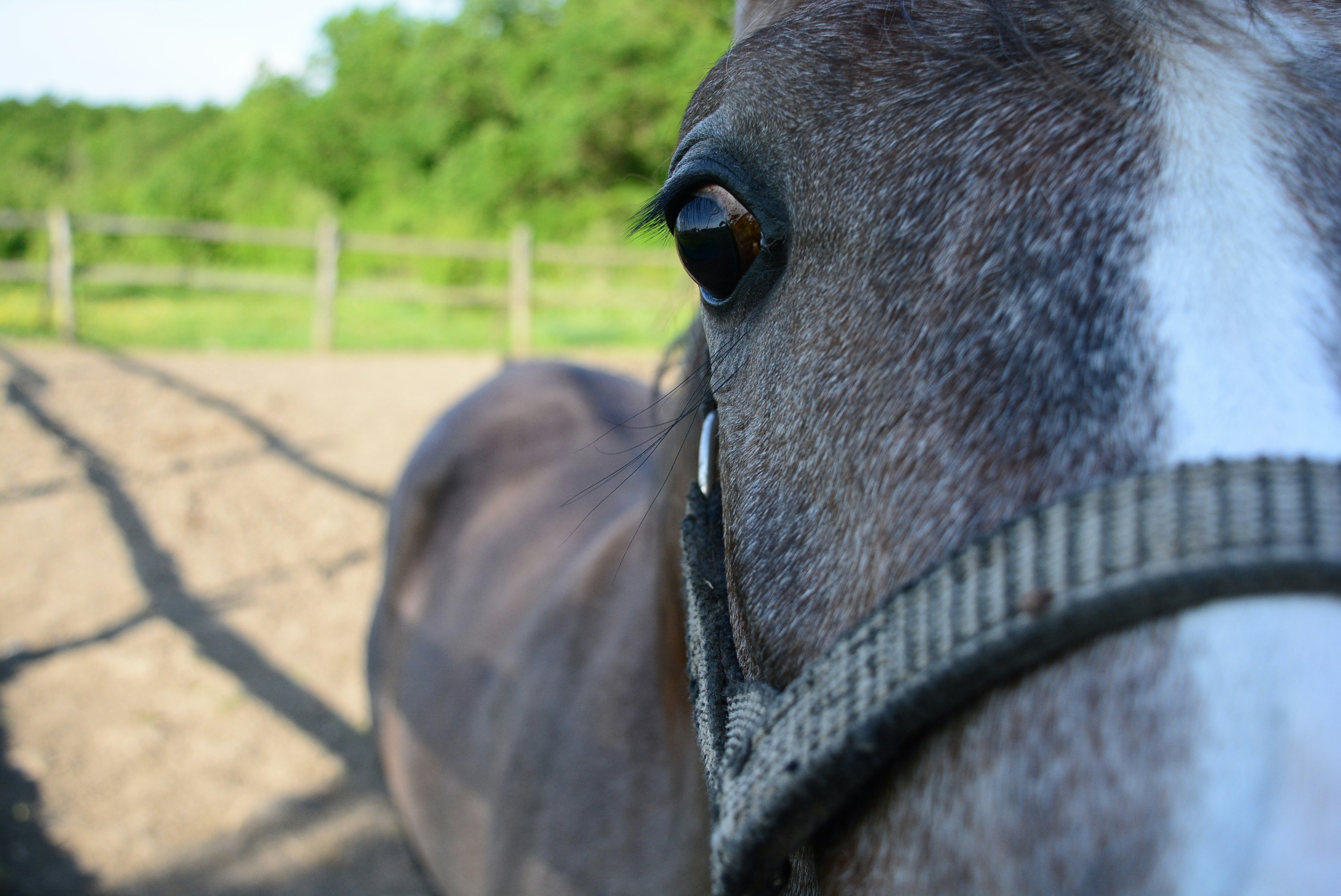 Photo by oblacko_oorta